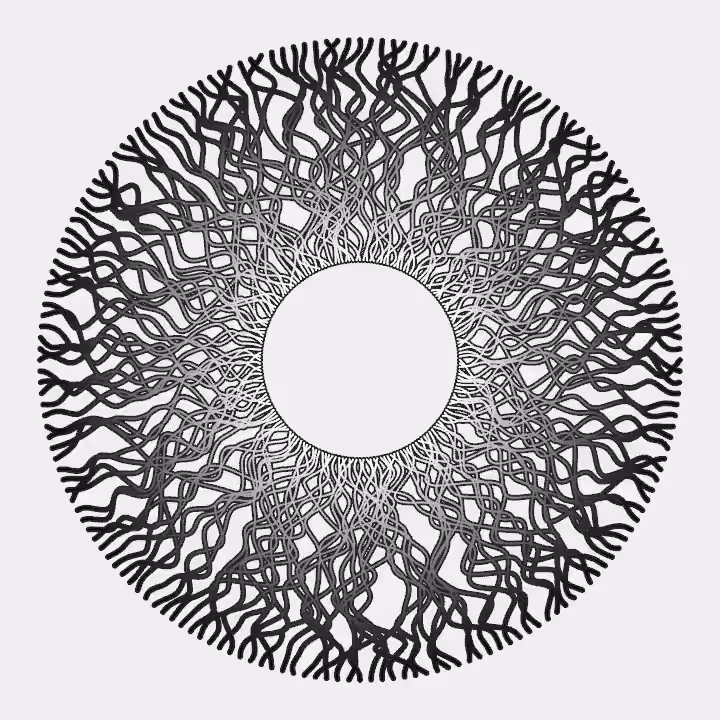 DoodleDeProgramming_20240229