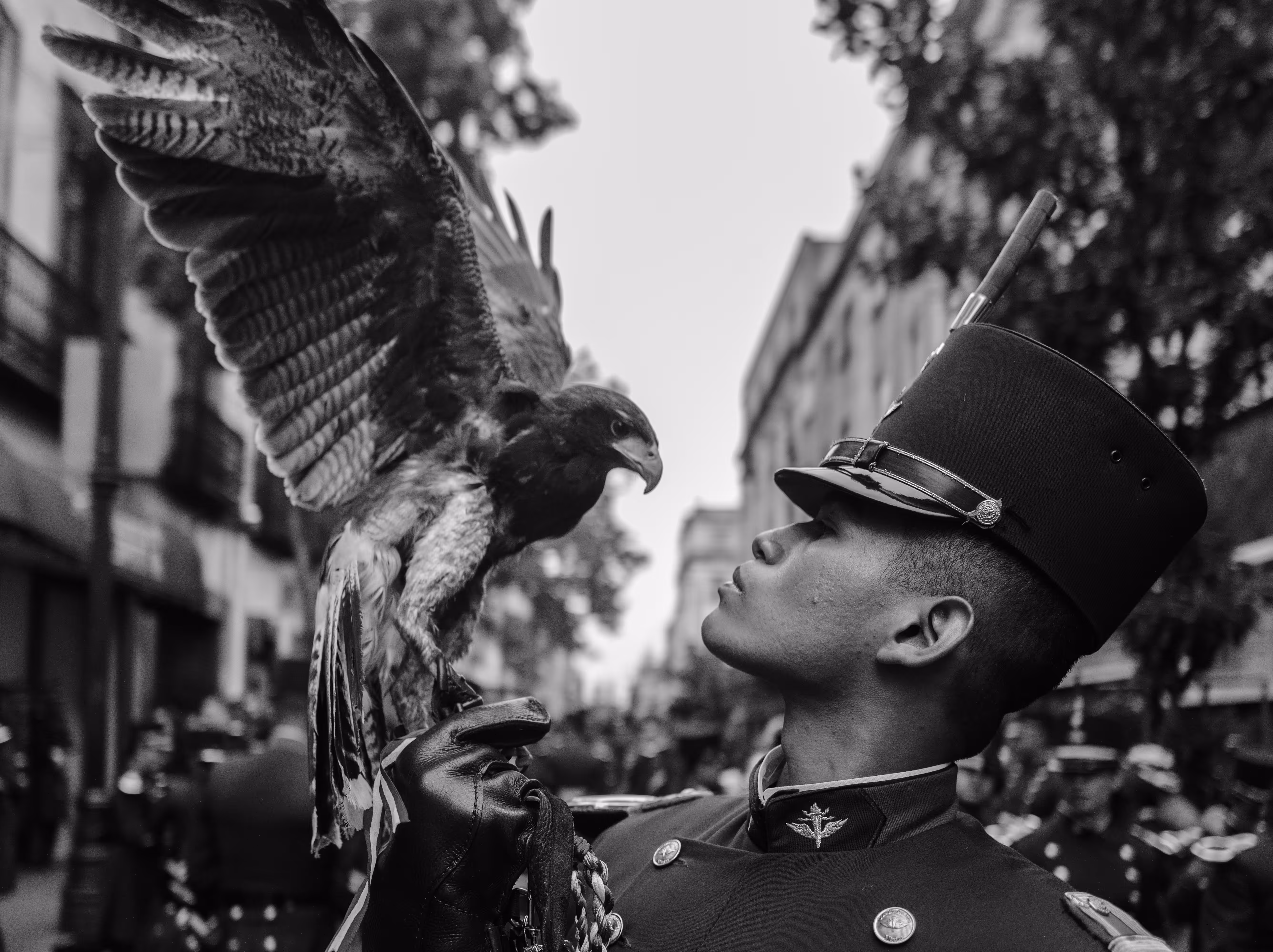 The Eagle 