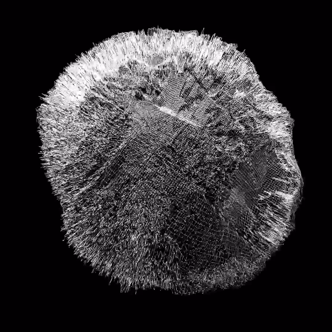 w_roll_002