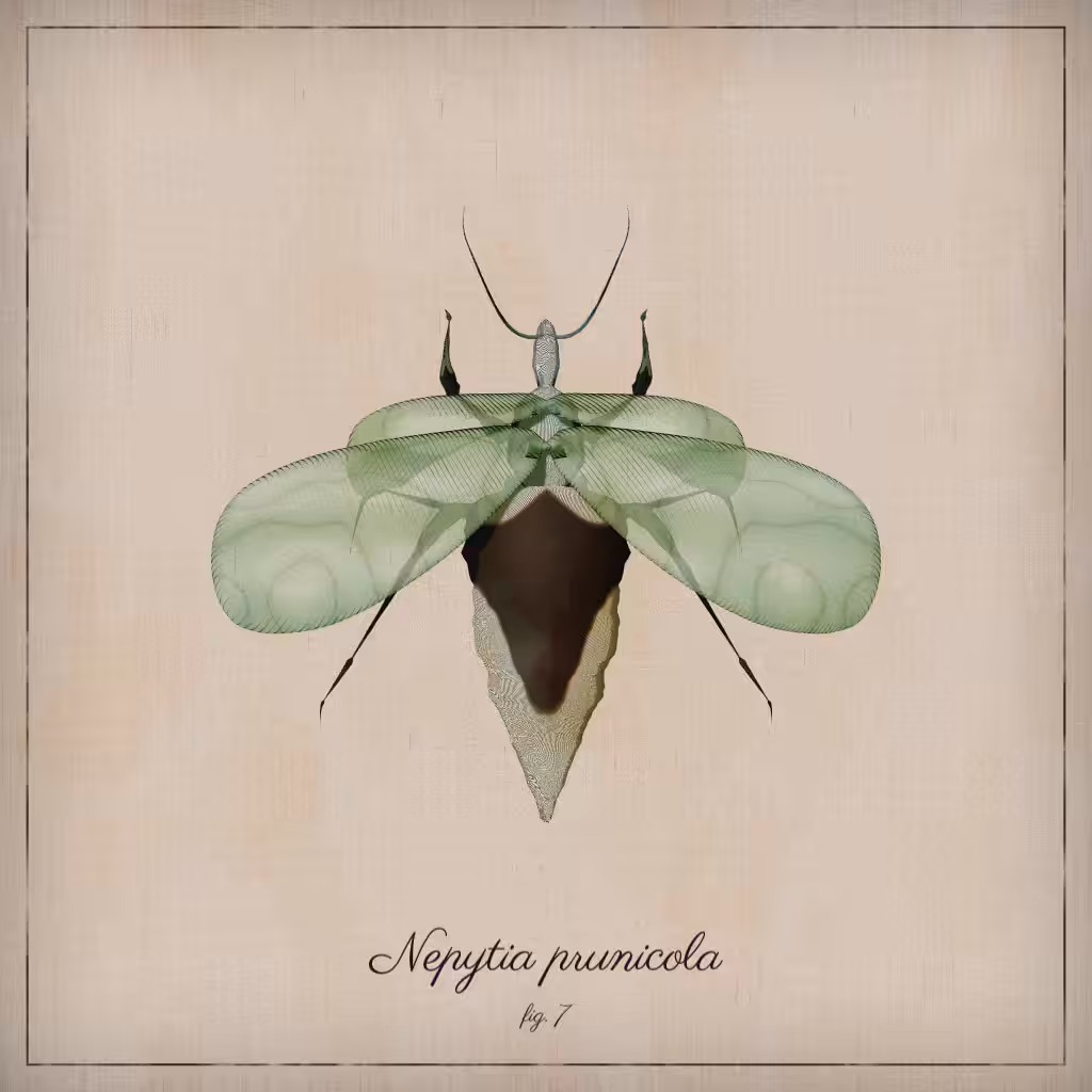 ProcGen Entomology #194