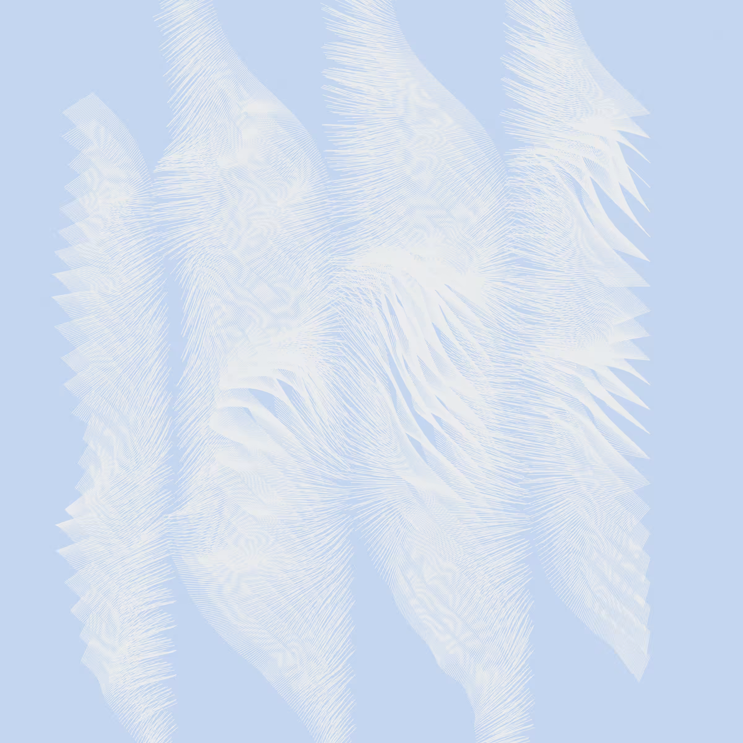 Curtains #13