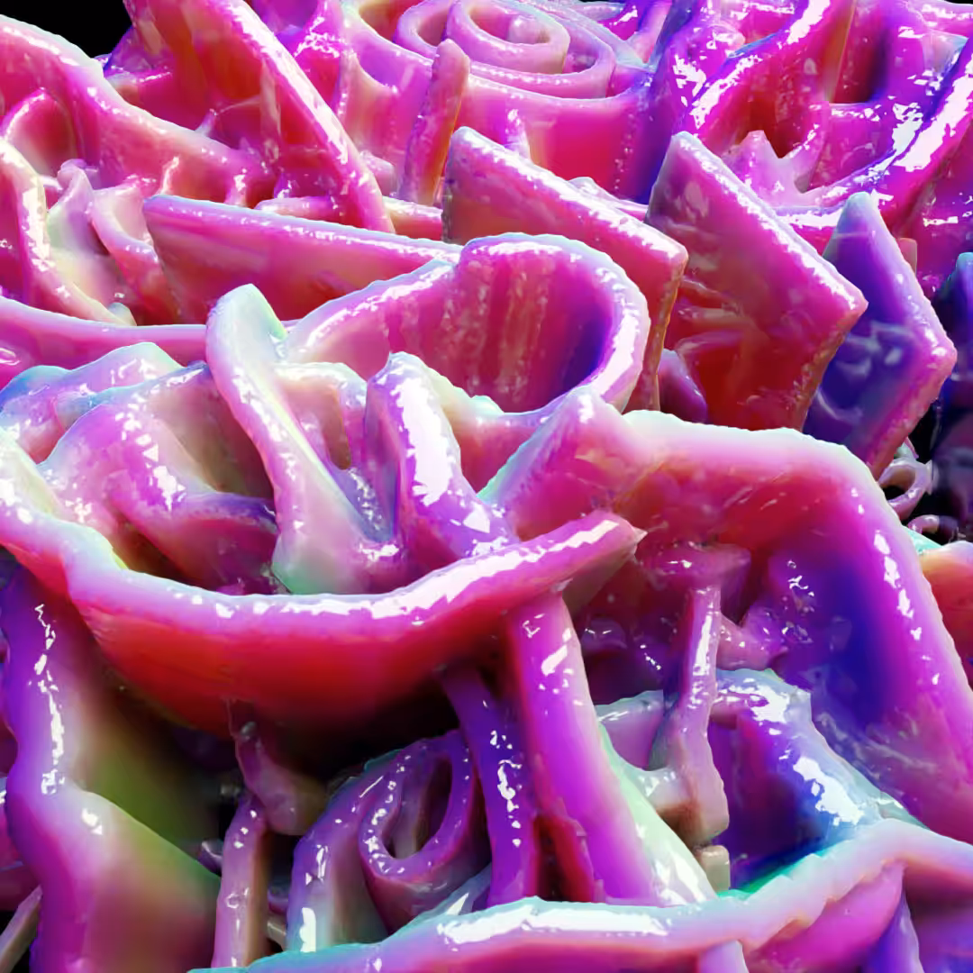 𝒲𝒶𝓁𝓁 𝑜𝒻 𝑅𝑜𝓈𝑒𝓈