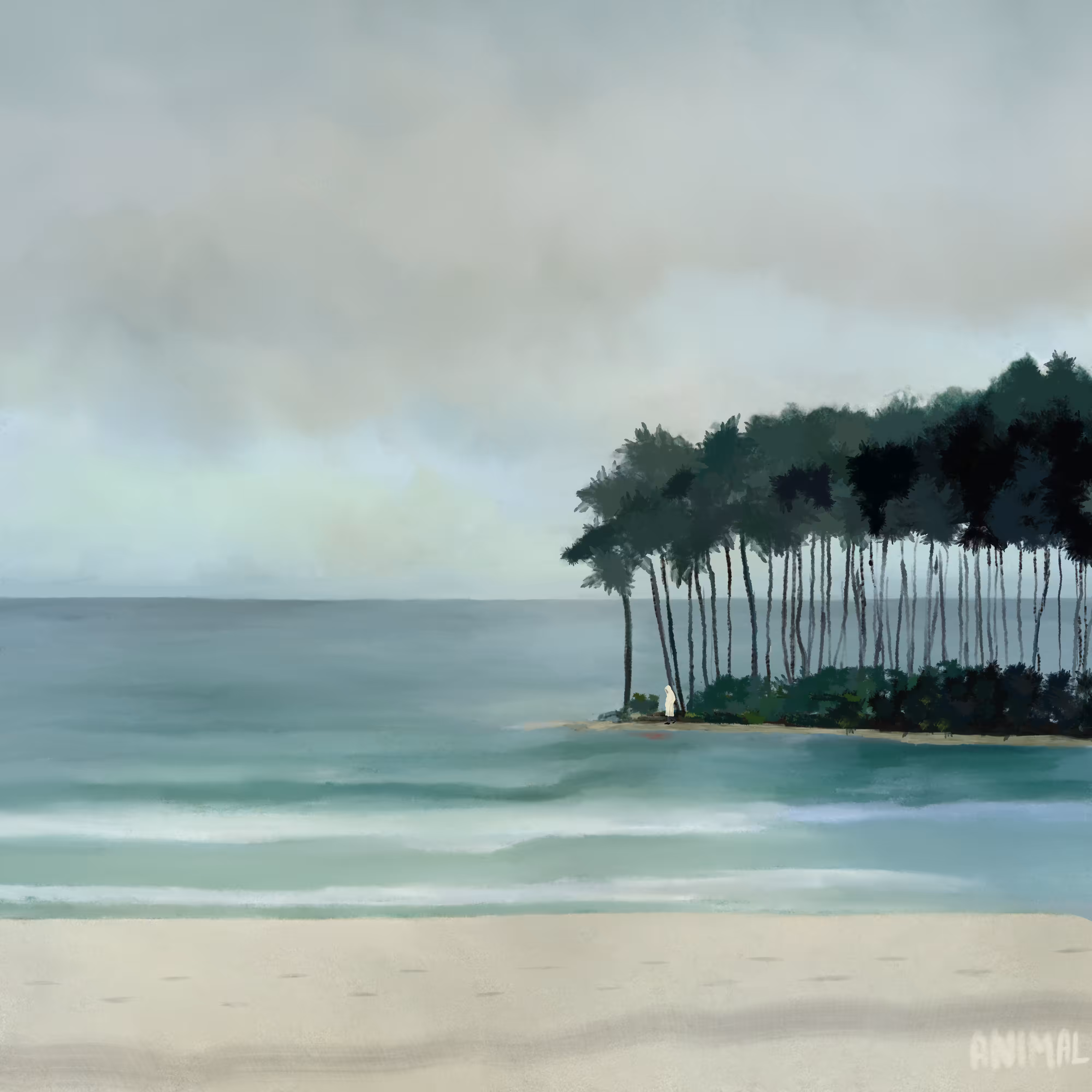 Sentinel's Cove