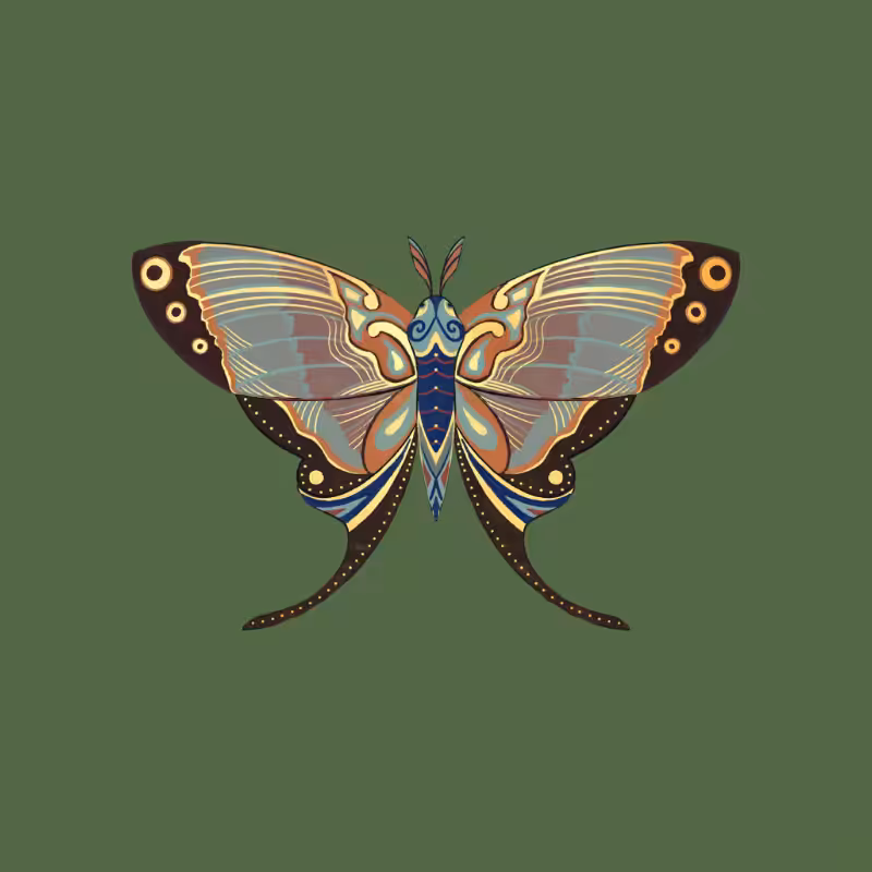 The Moth Experiment - Special Edition #1