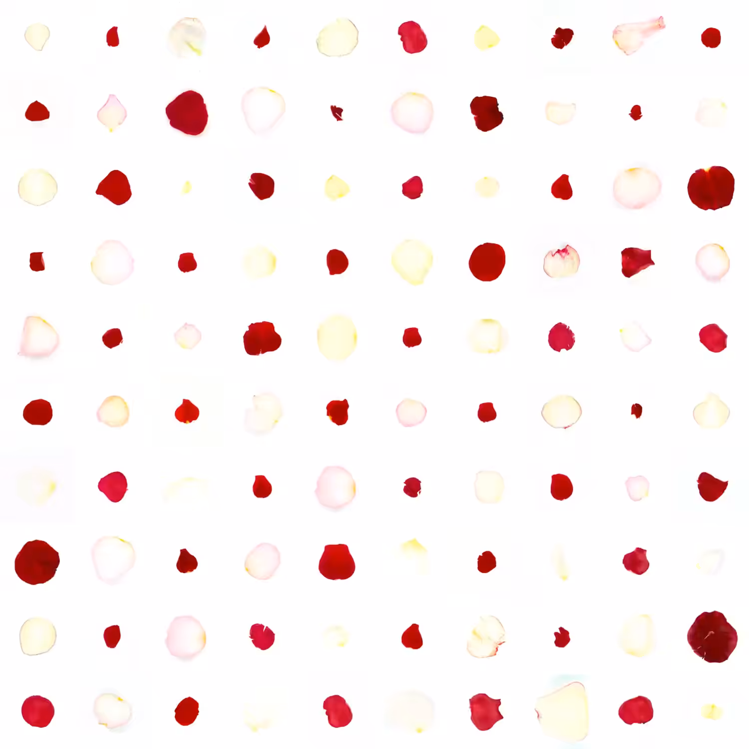 Infinite Petals 10x10#2686