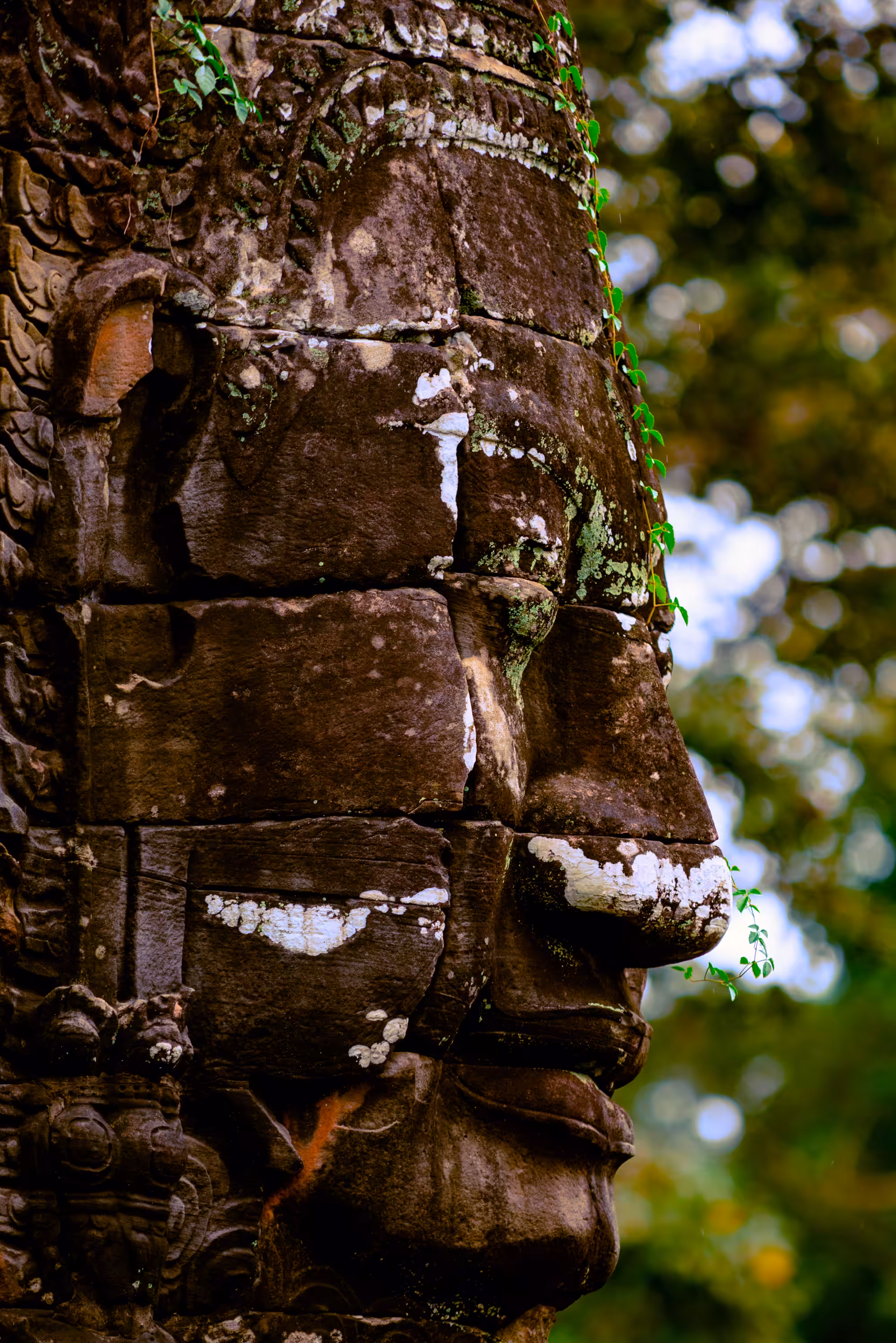 Angkor #26