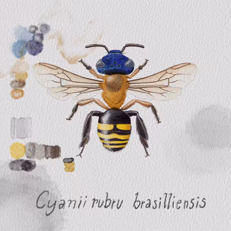 Randomic Brazilian Bees  #49