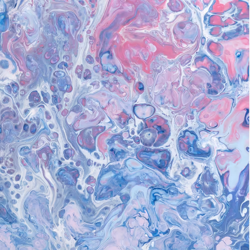 Colors For The Planet LE