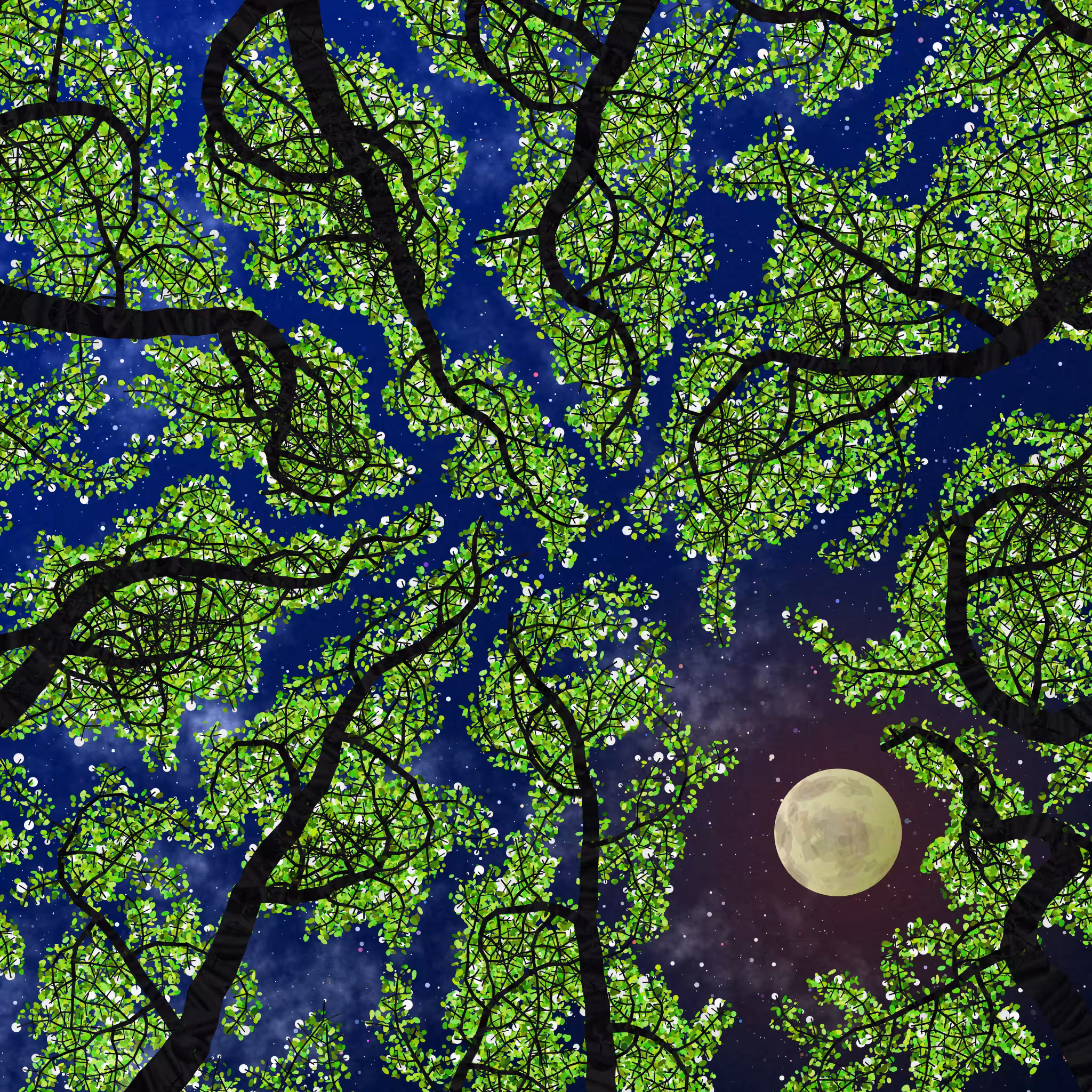 Tree Skyness #10