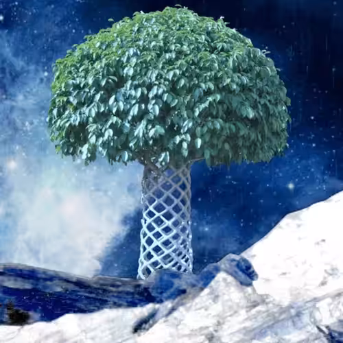 Tree #19