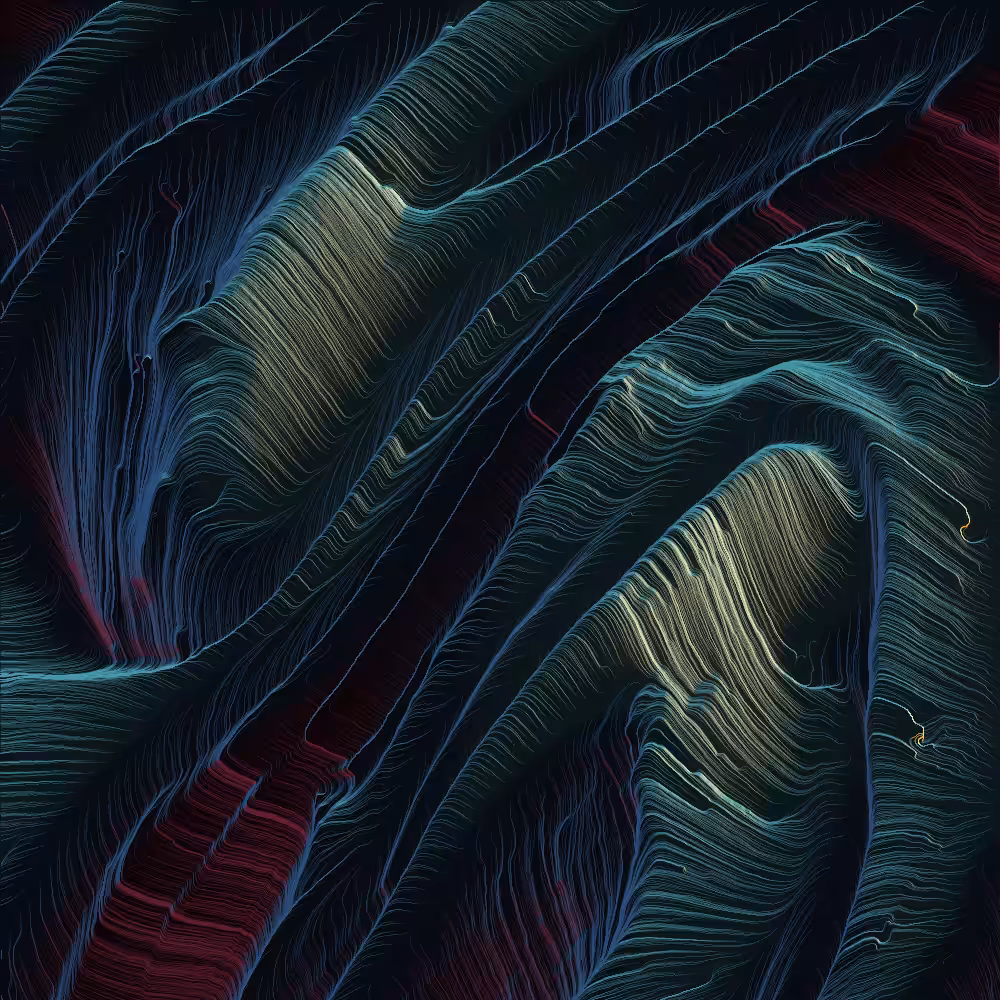 Unknown Anatomy