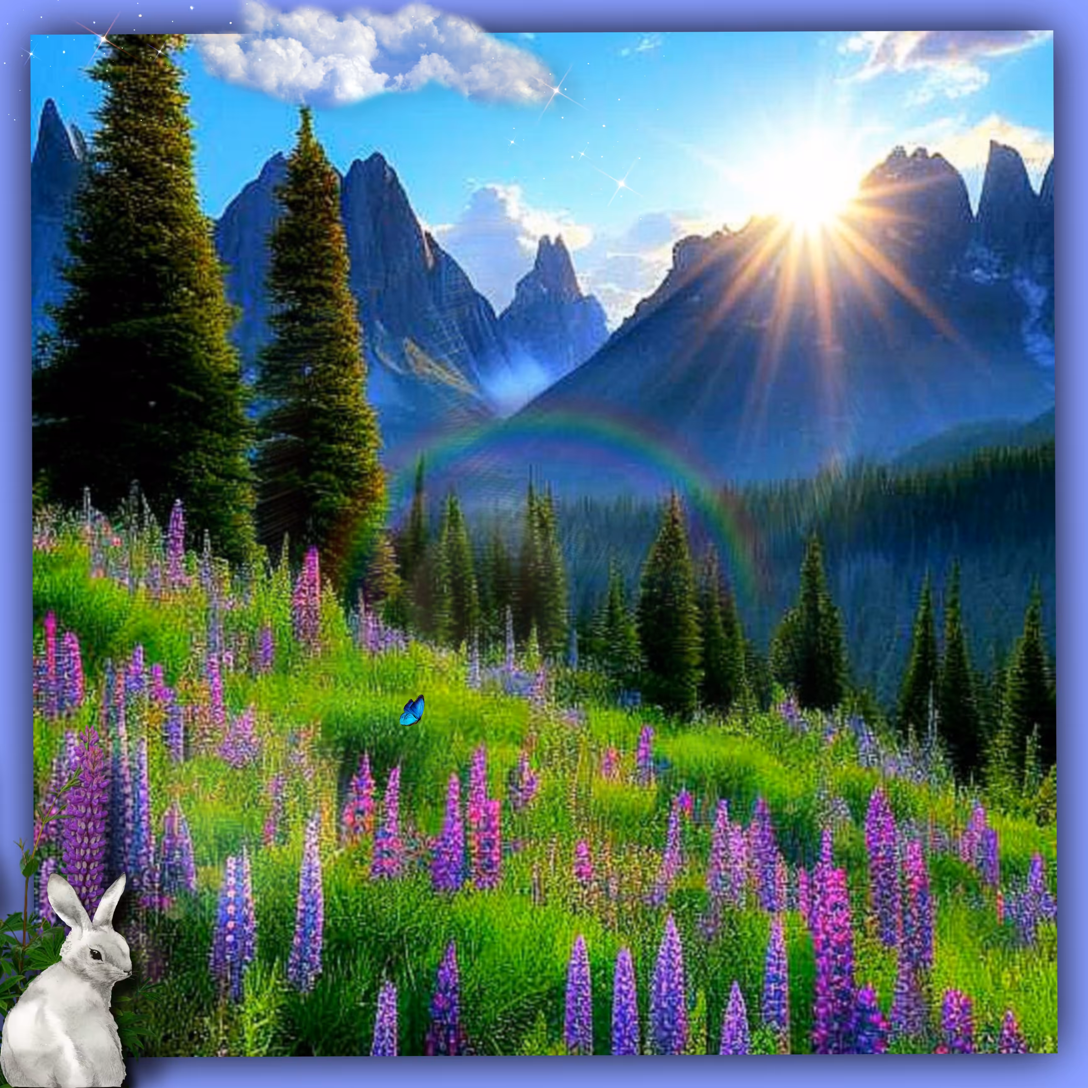 Lupine Meadow