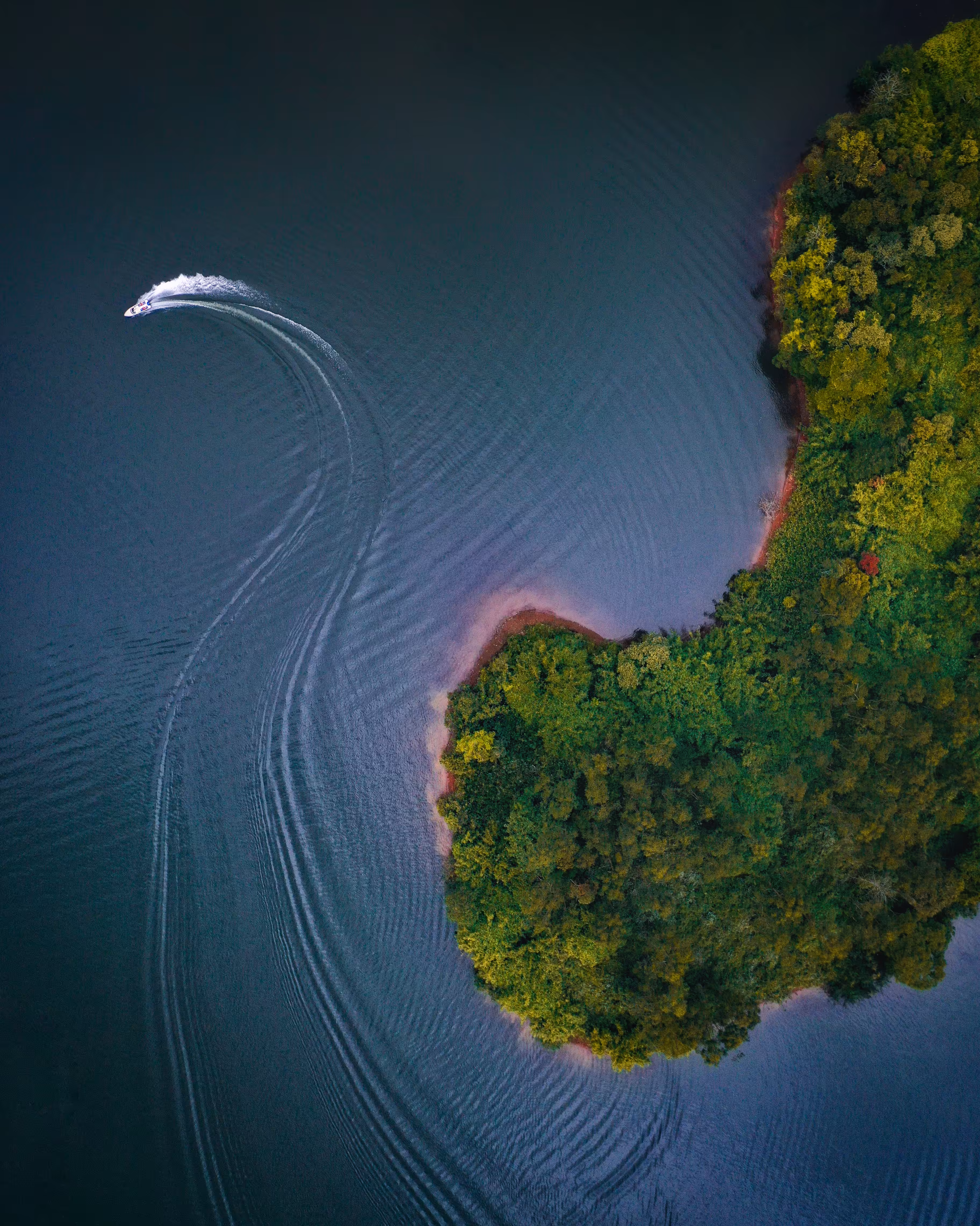 Nature is a free bird