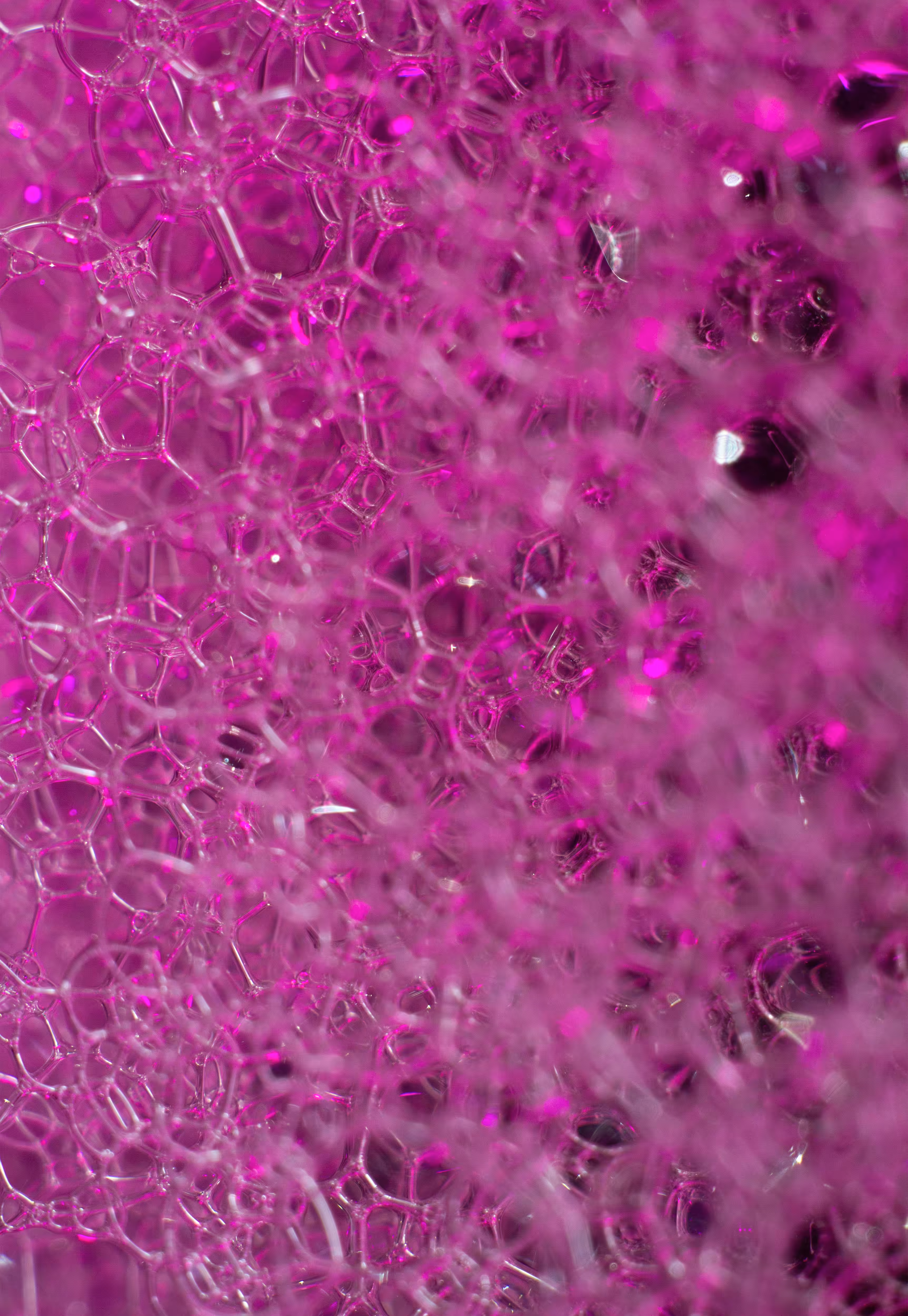 Abstract World of Soap Bubbles: #65 Bubbles