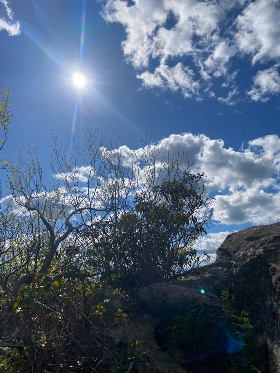 SKY #1
