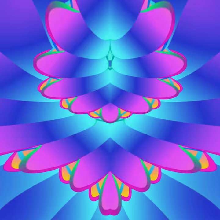 Looking Within