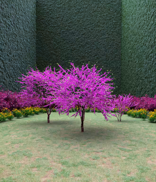 Garden of Imagination #80