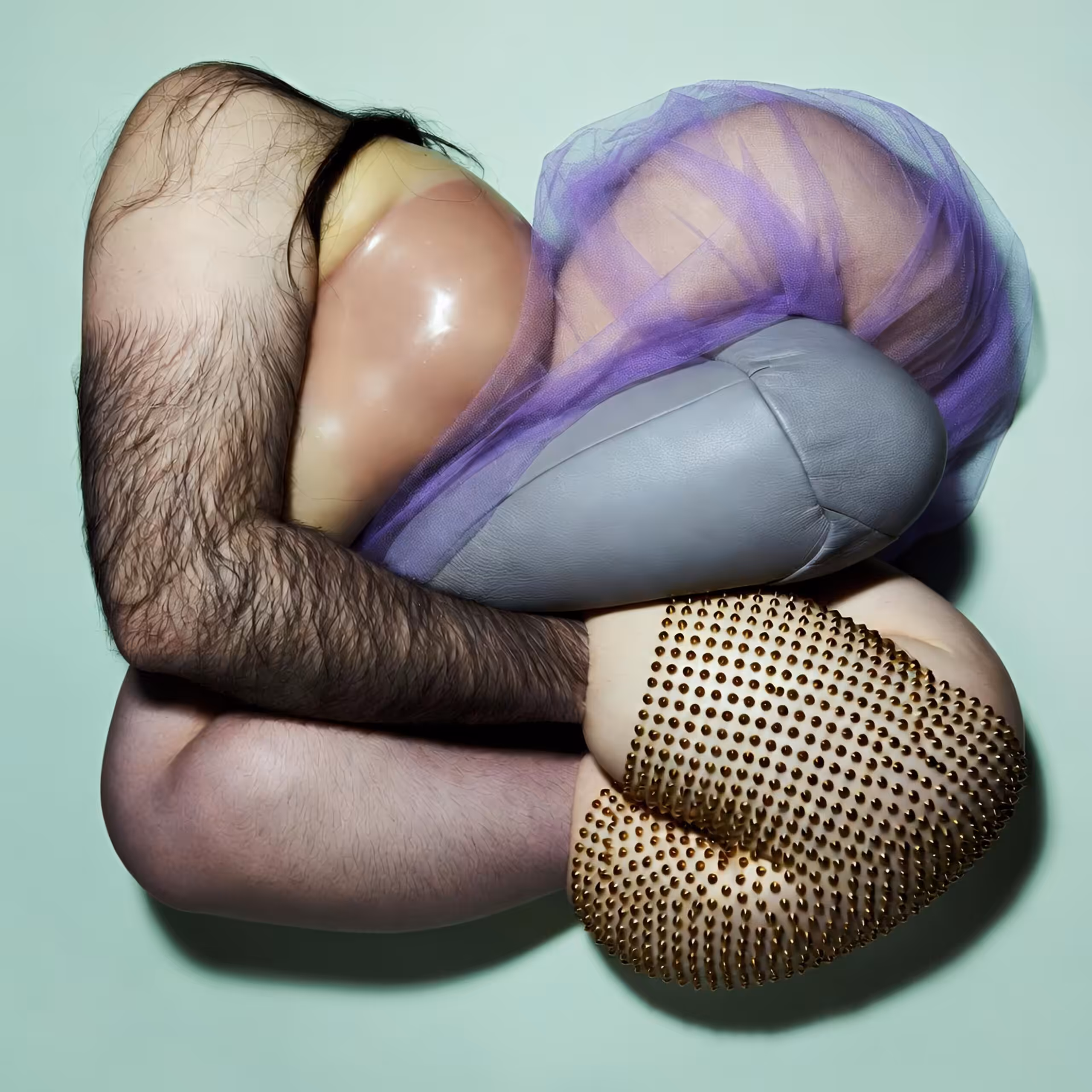 𝐒𝐮𝐫𝐩𝐥𝐮𝐬: 𝐅𝐥𝐞𝐬𝐡𝐤𝐧𝐨𝐭