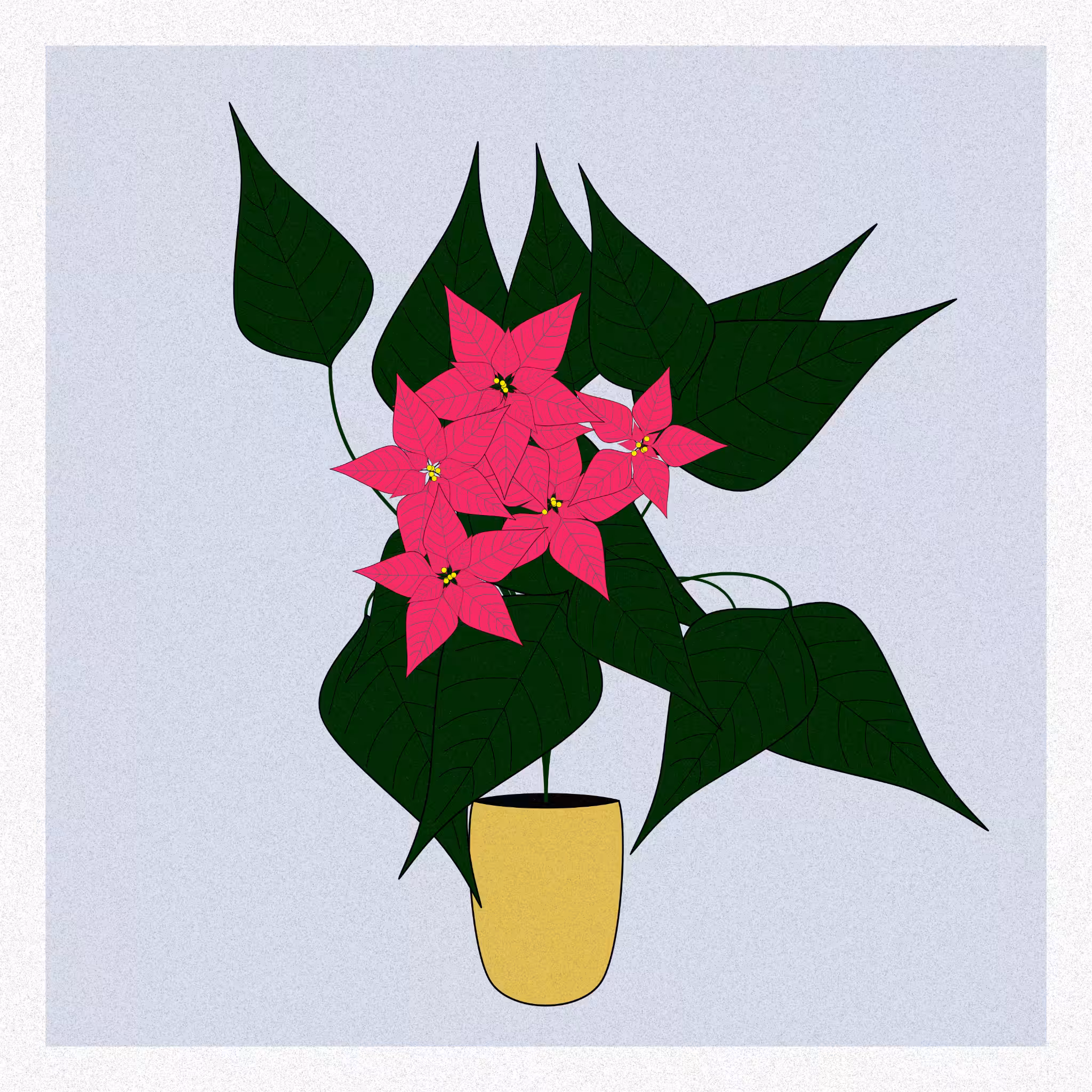 Flowers #248