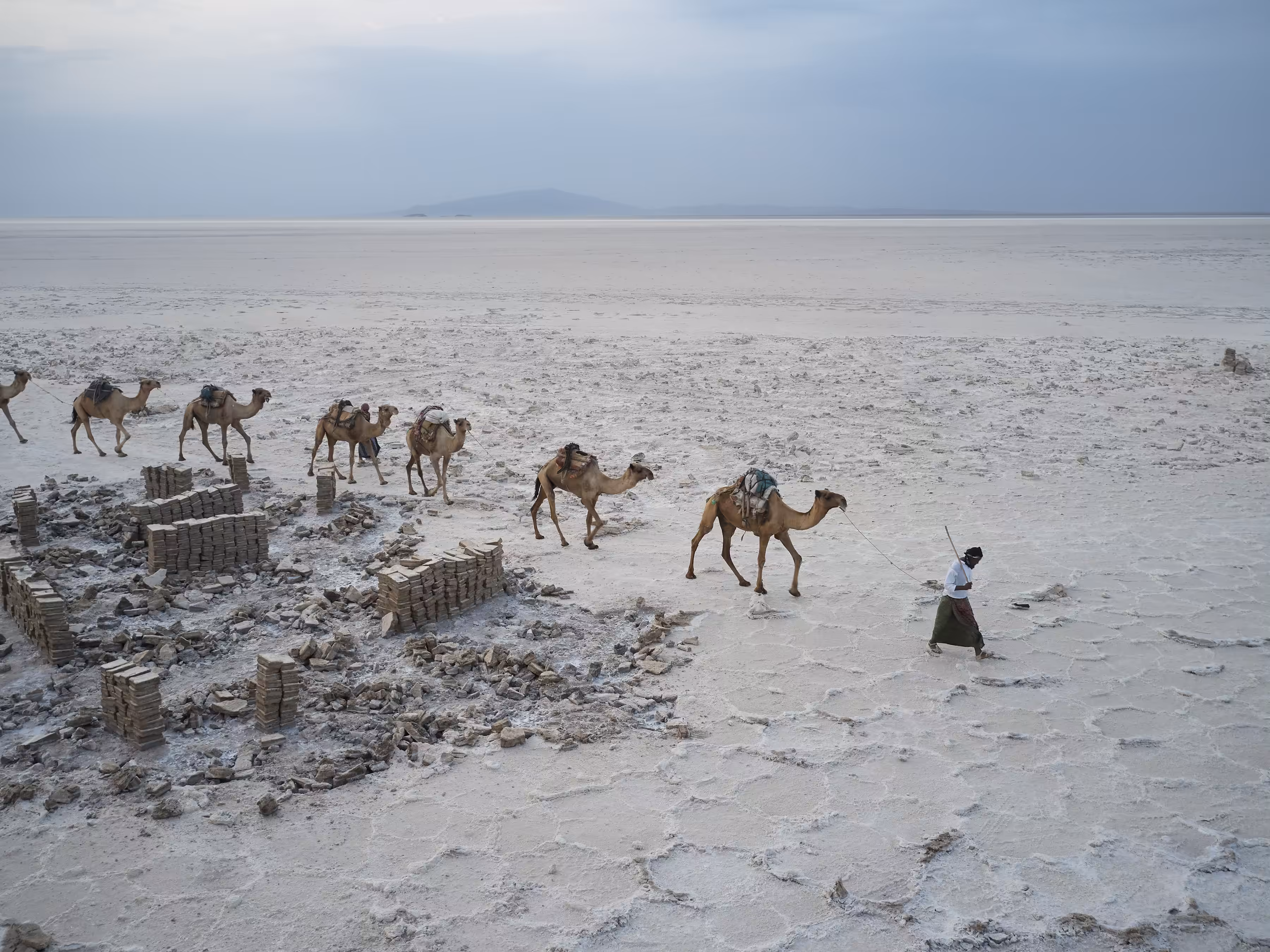 Ethiopia - An Afar Camel Caravan Loads Bricks of Salt