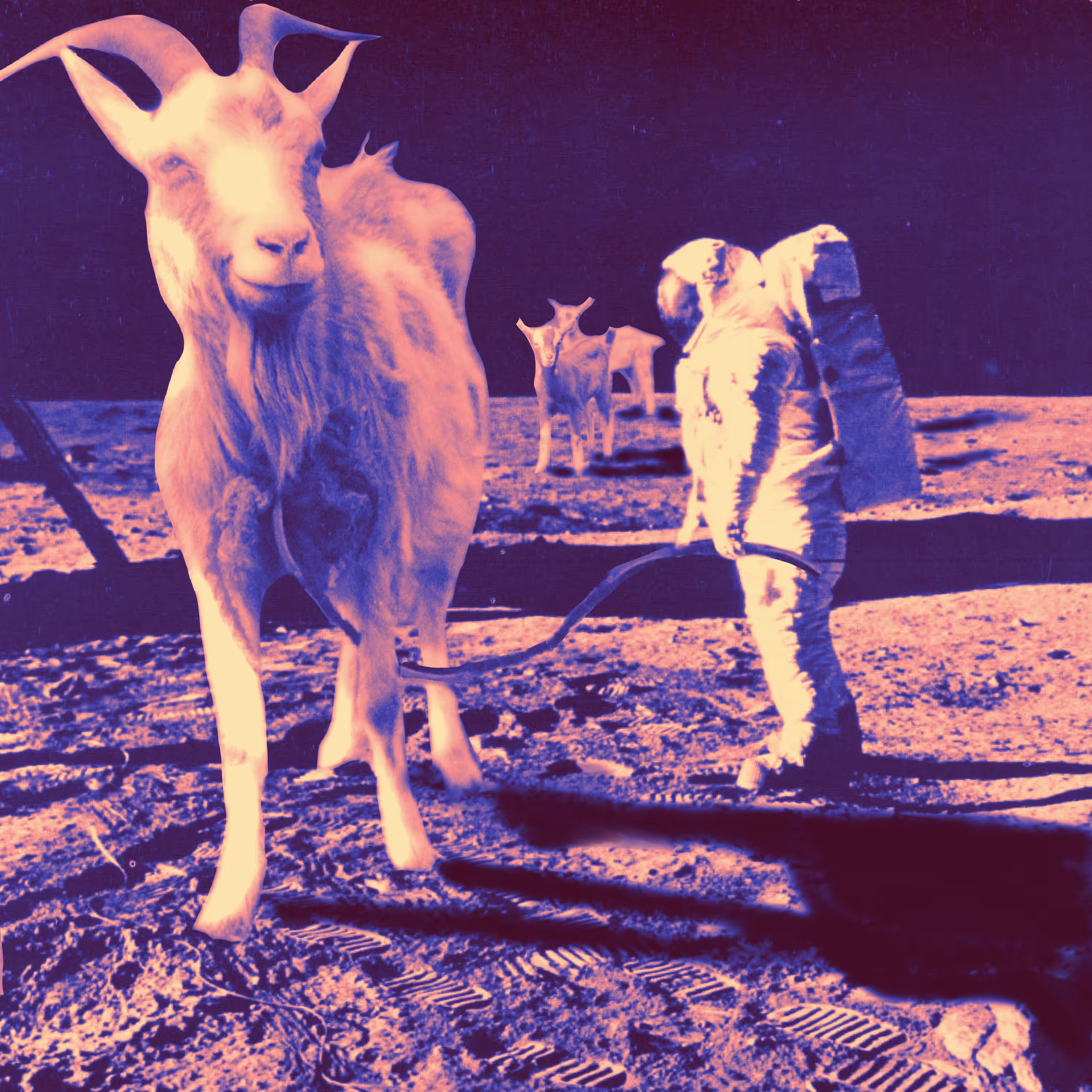 To the moon