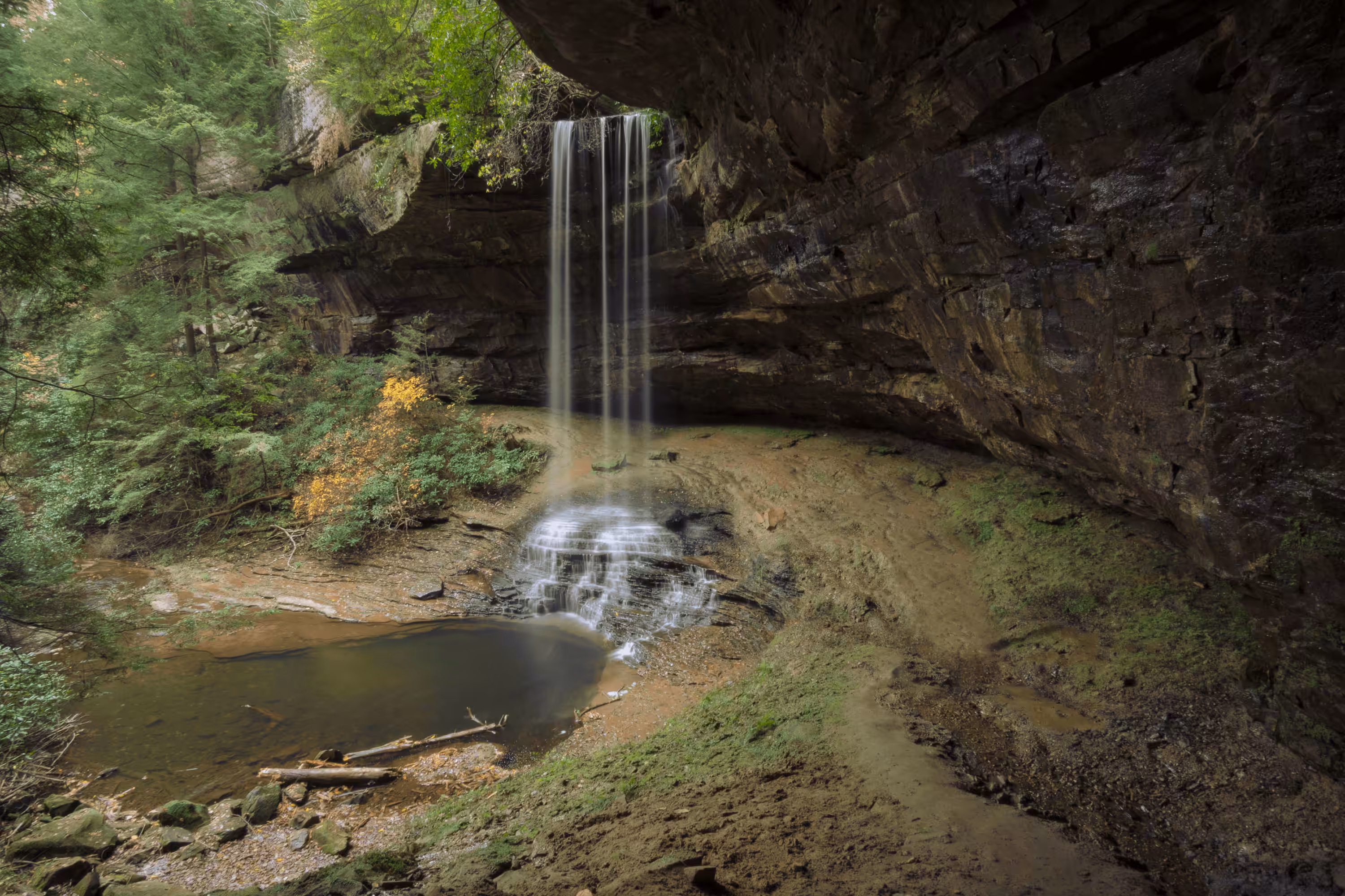With Love From Appalachia #005