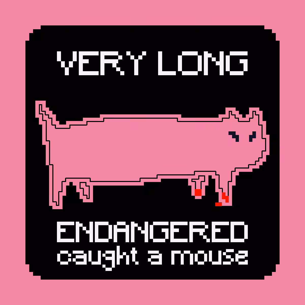 VERY LONG ENDANGERED CAT #20