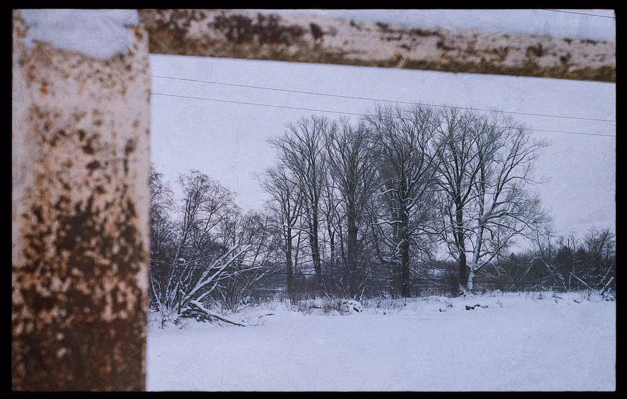 Ghosts Of Trees