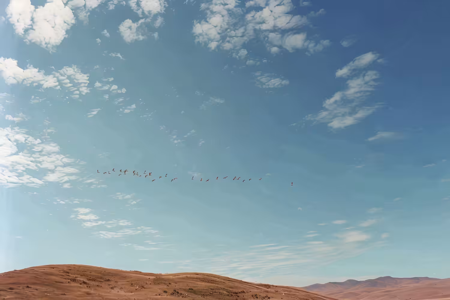 Surveillance system detecting aliens crossing the desert