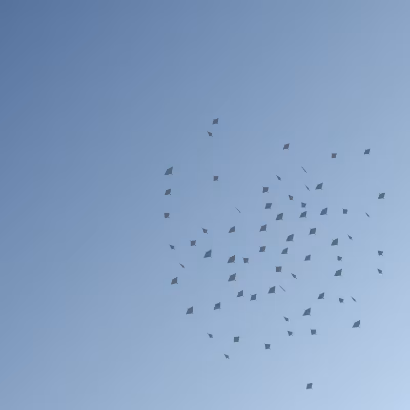 Painting Flocks  #6