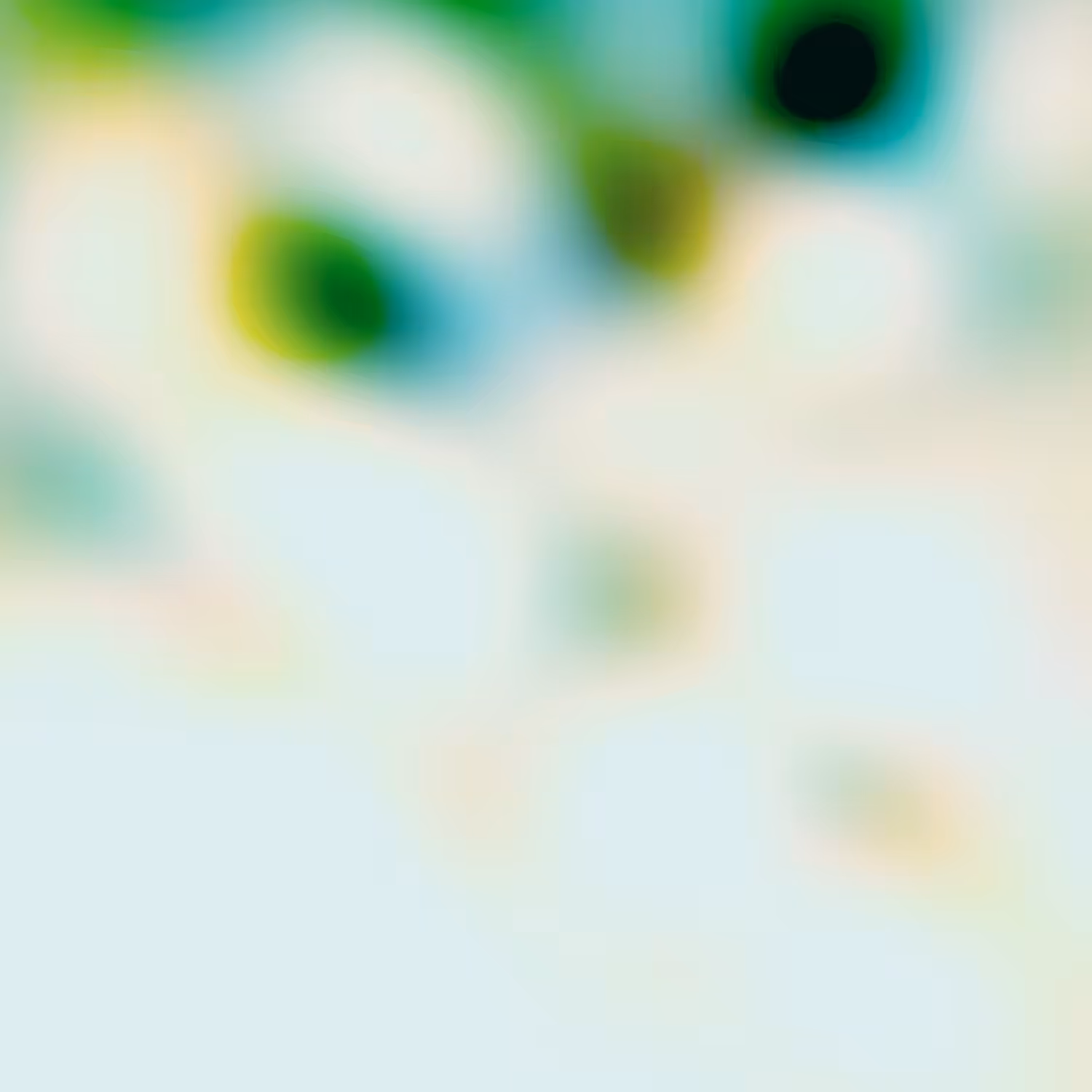 IFICE 3 - 348