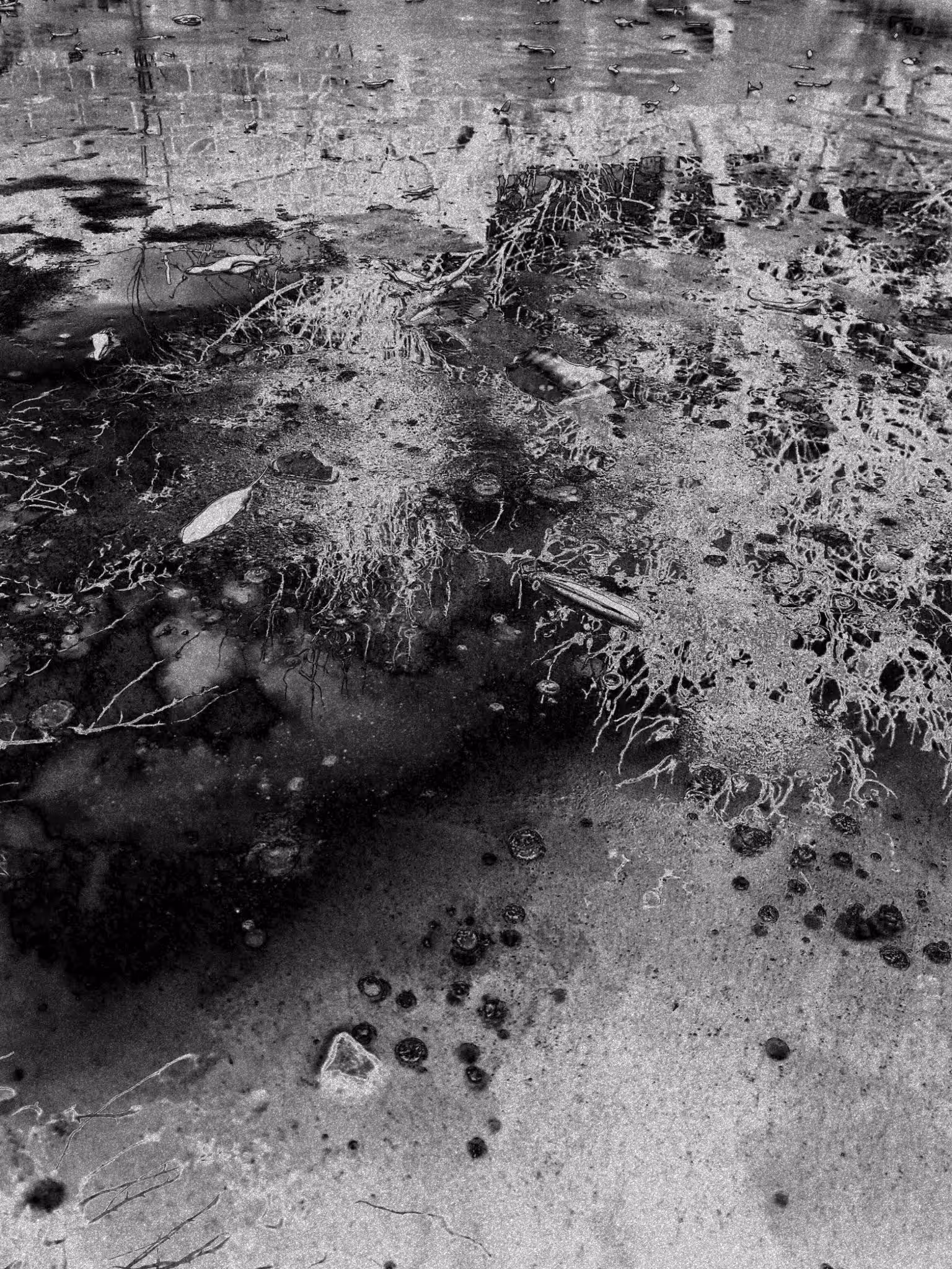 Frozen Pool