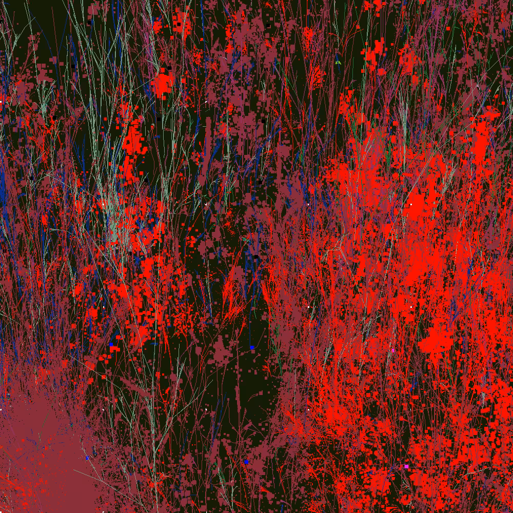 Infinite Garden: 48398 Flowers