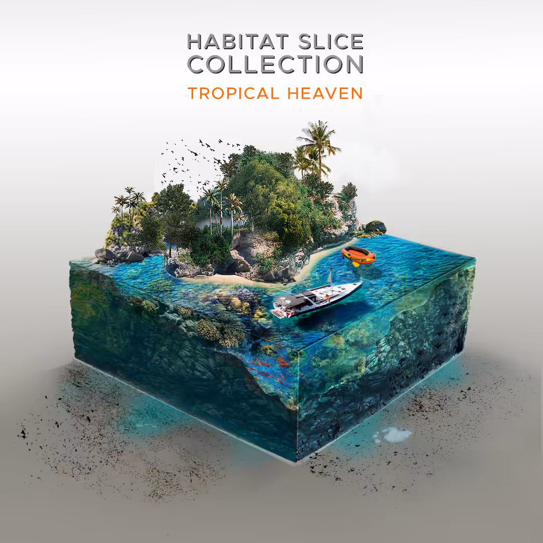 Tropical Heaven