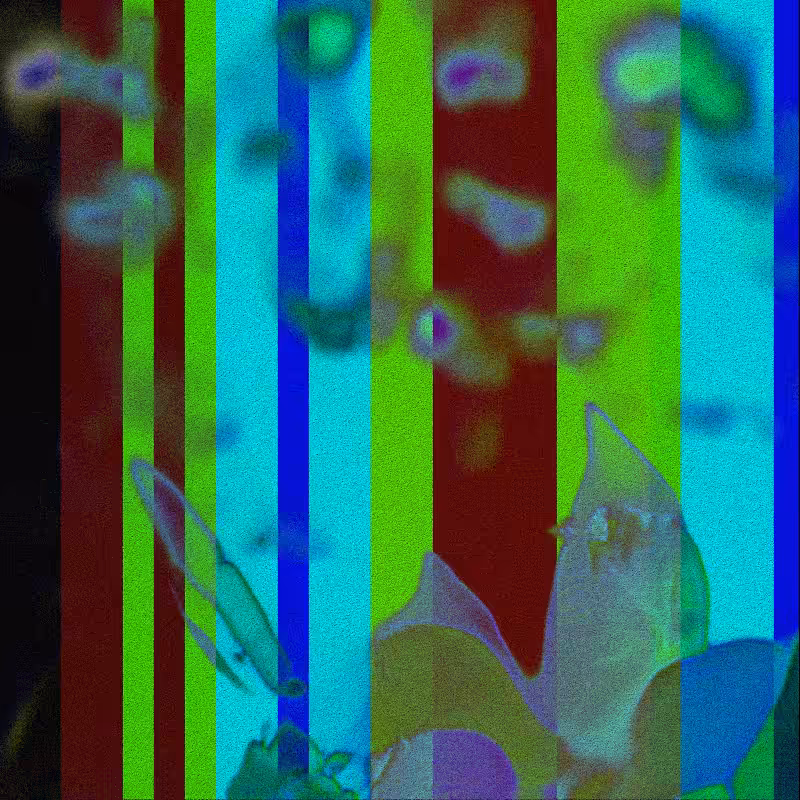 CLDCSMC #14