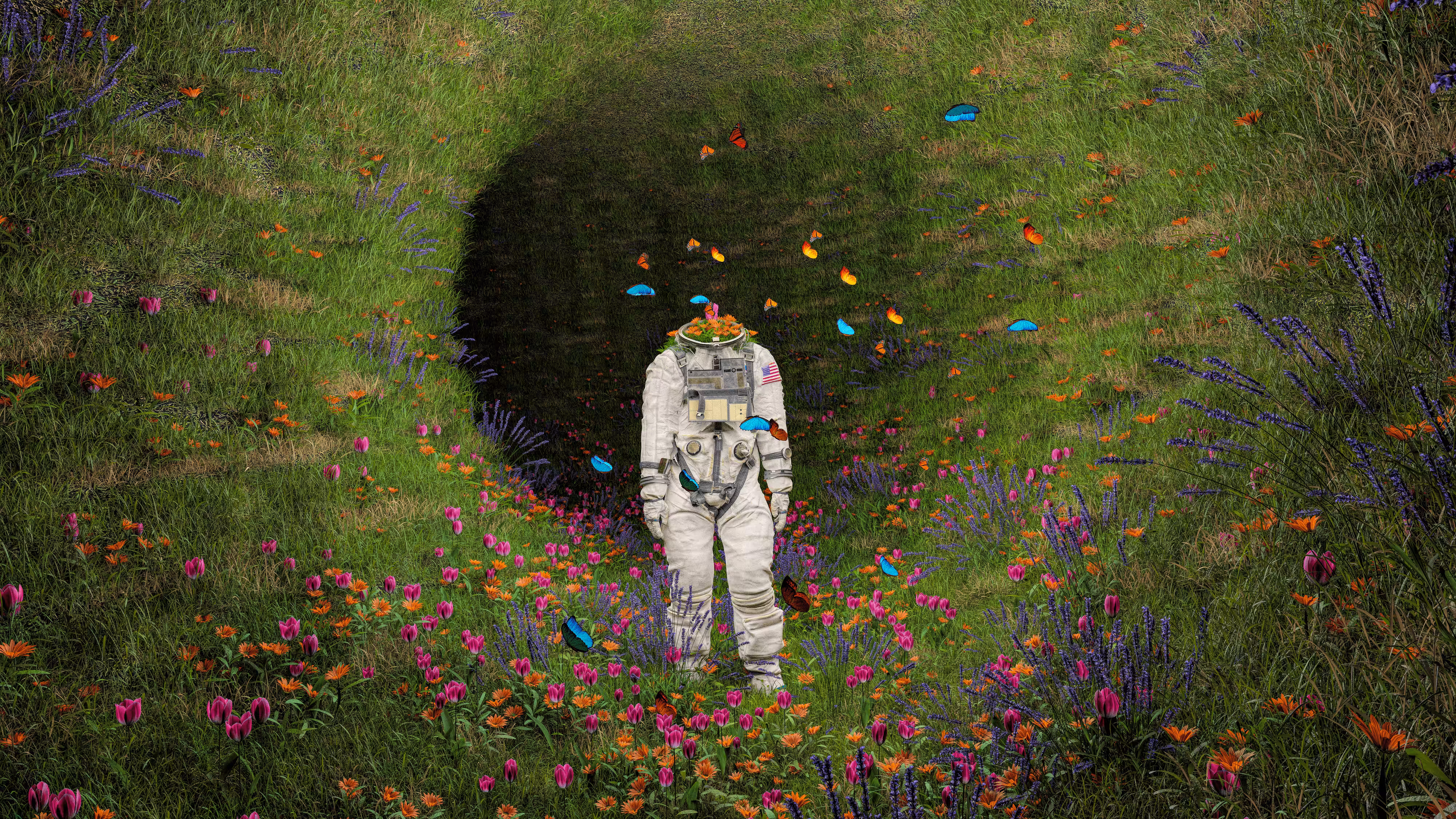 WONDERLAND-Day #122