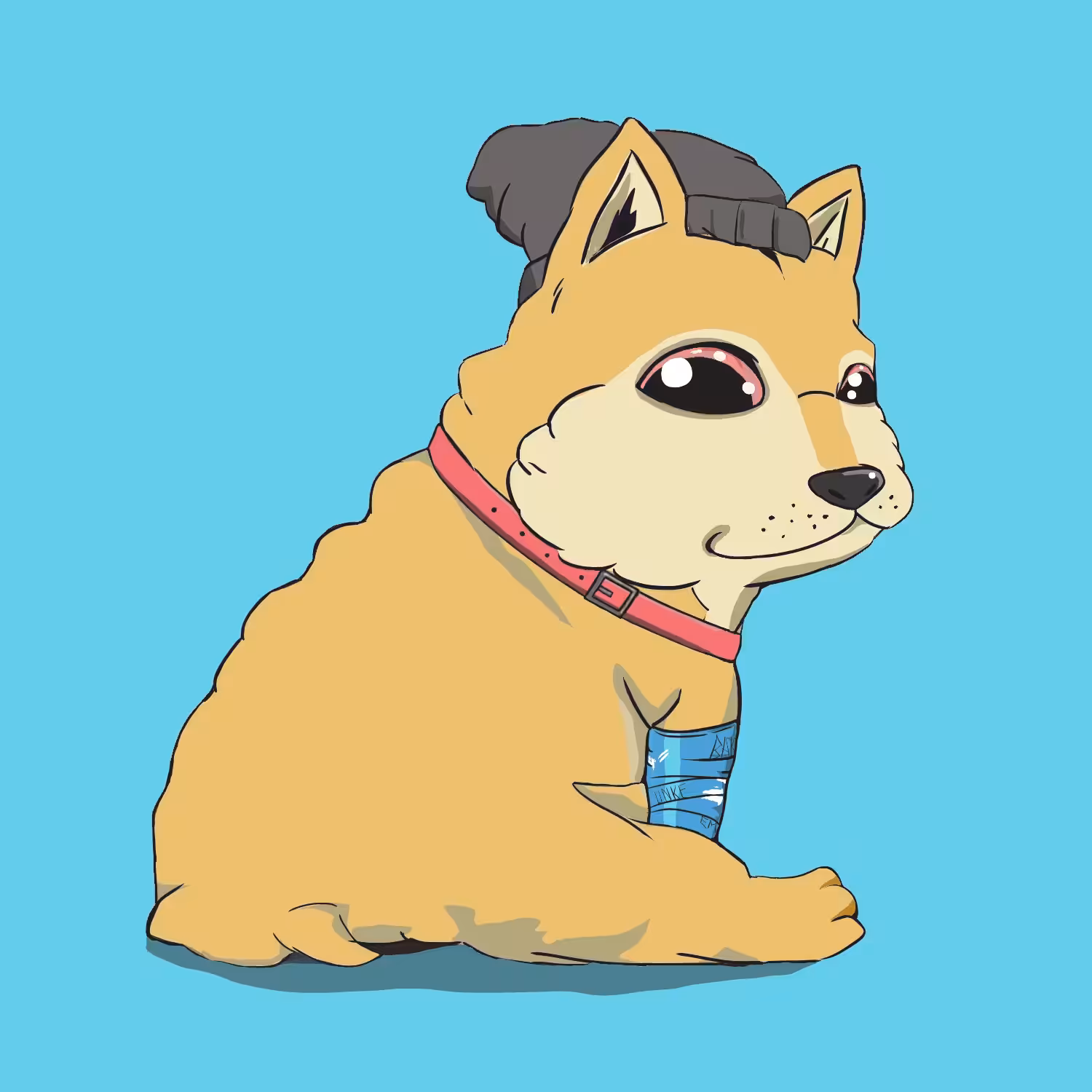 BAKC Puppy #9686