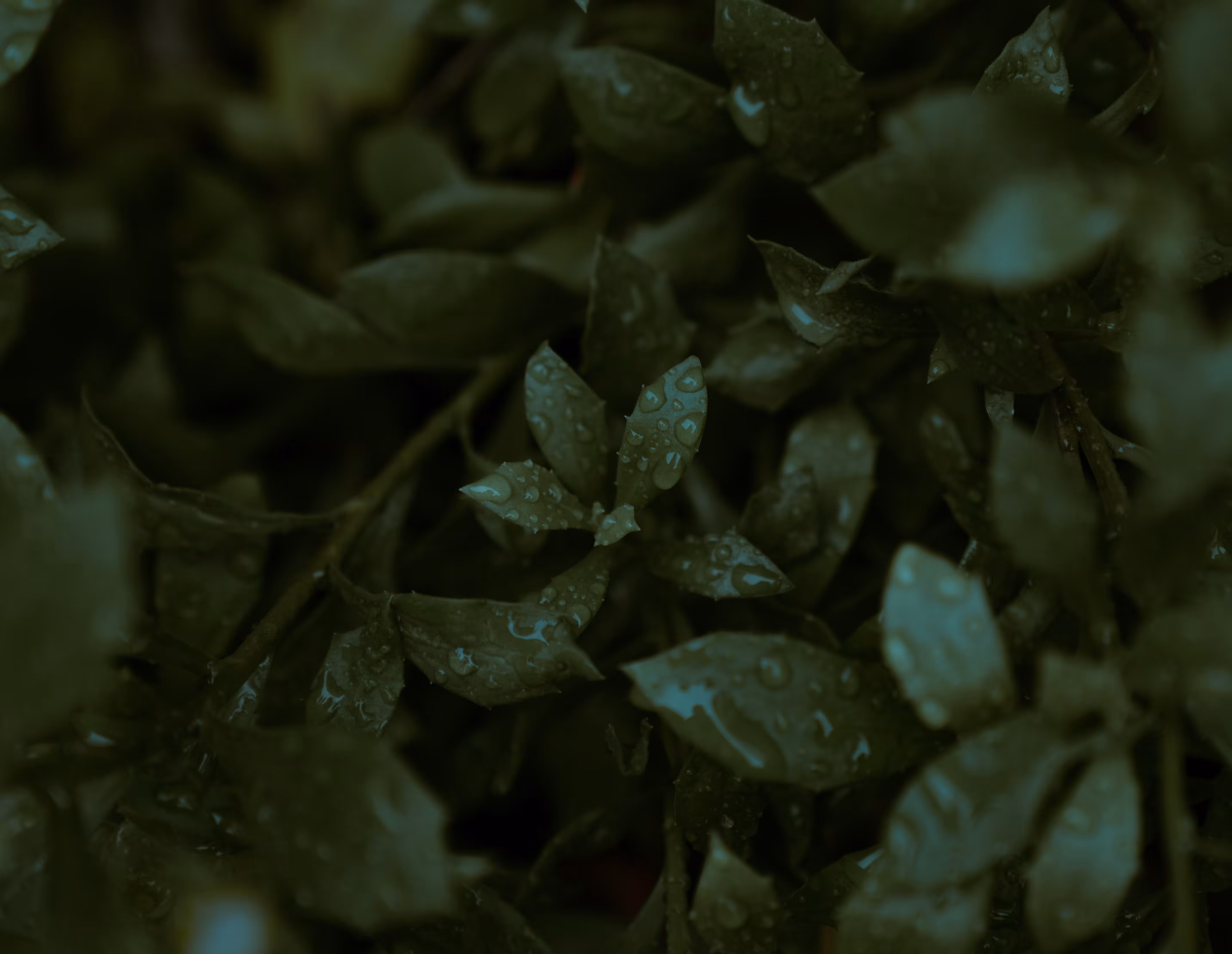 Natures cry 