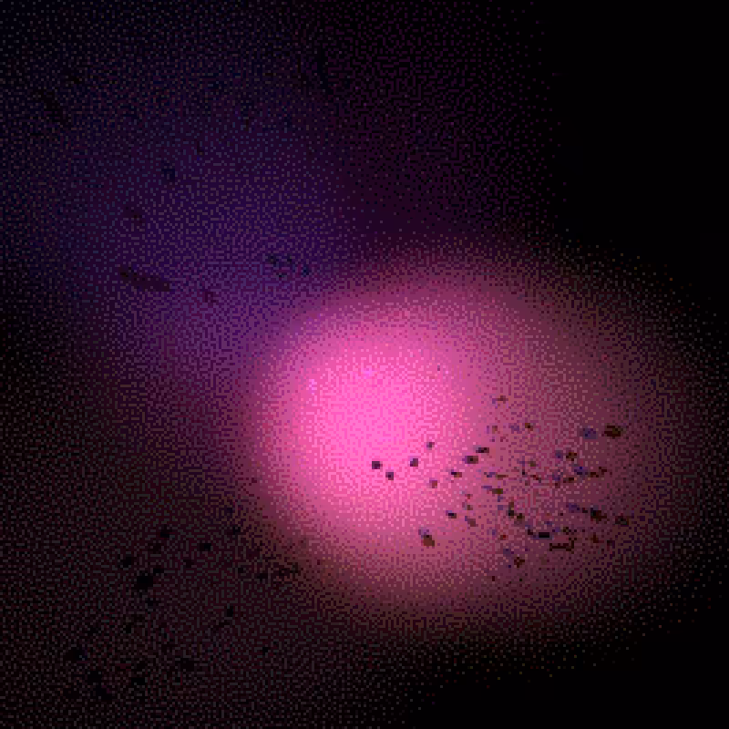 Moths #46