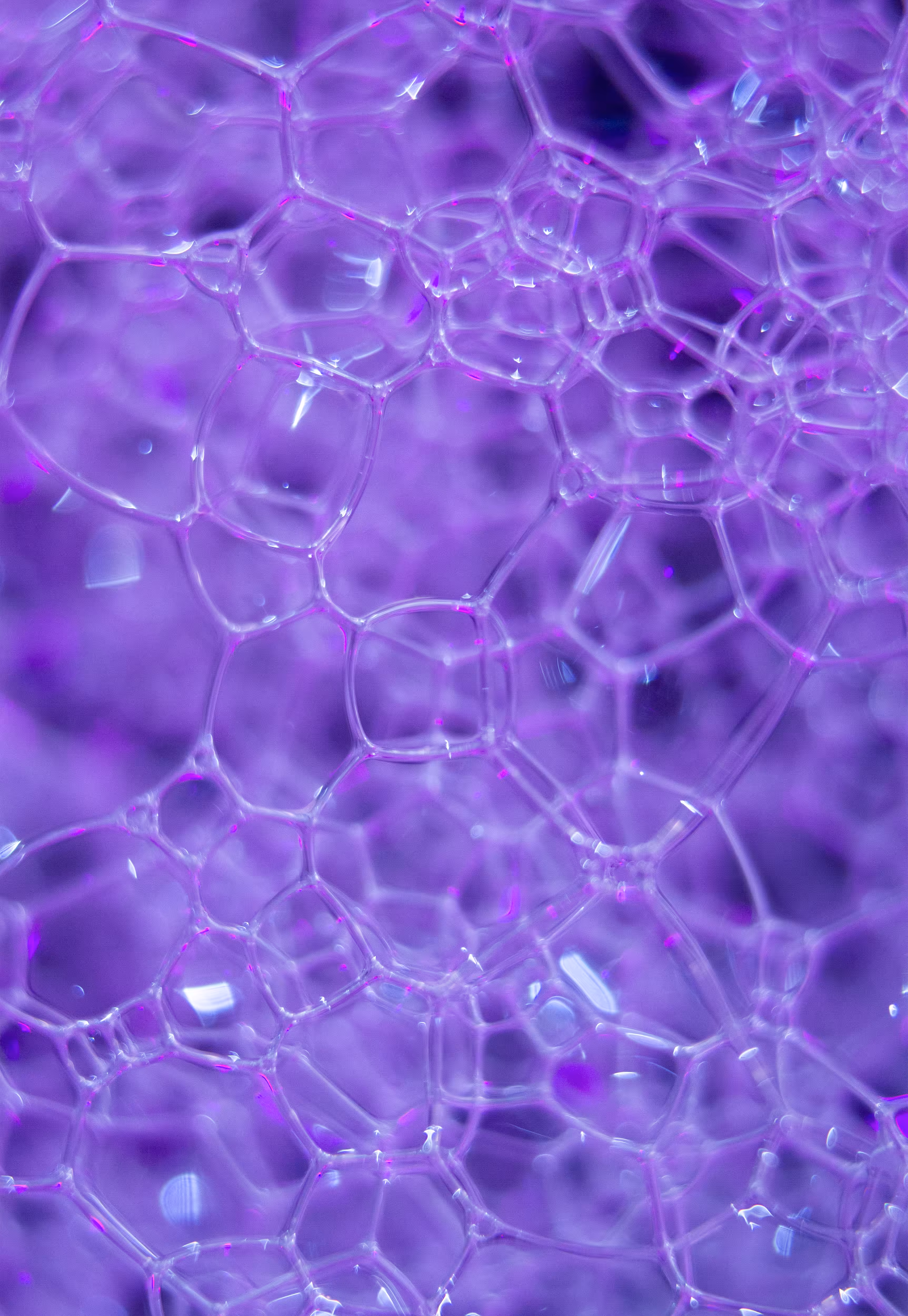 #170 Bubbles