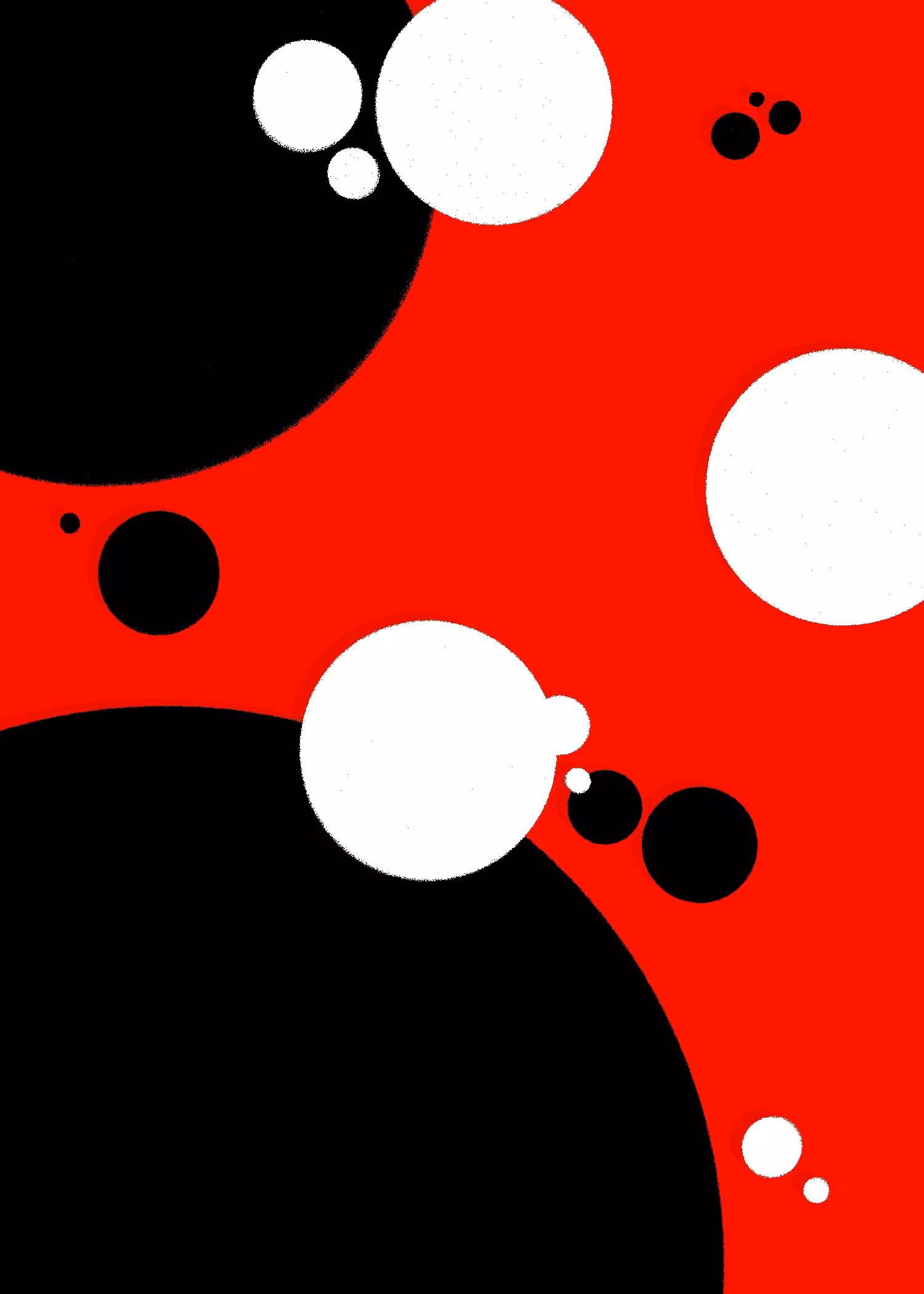 Ladybug 
