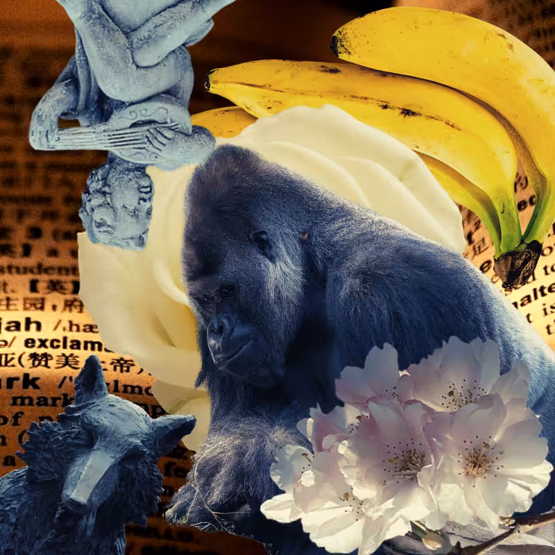 Banana flower #13