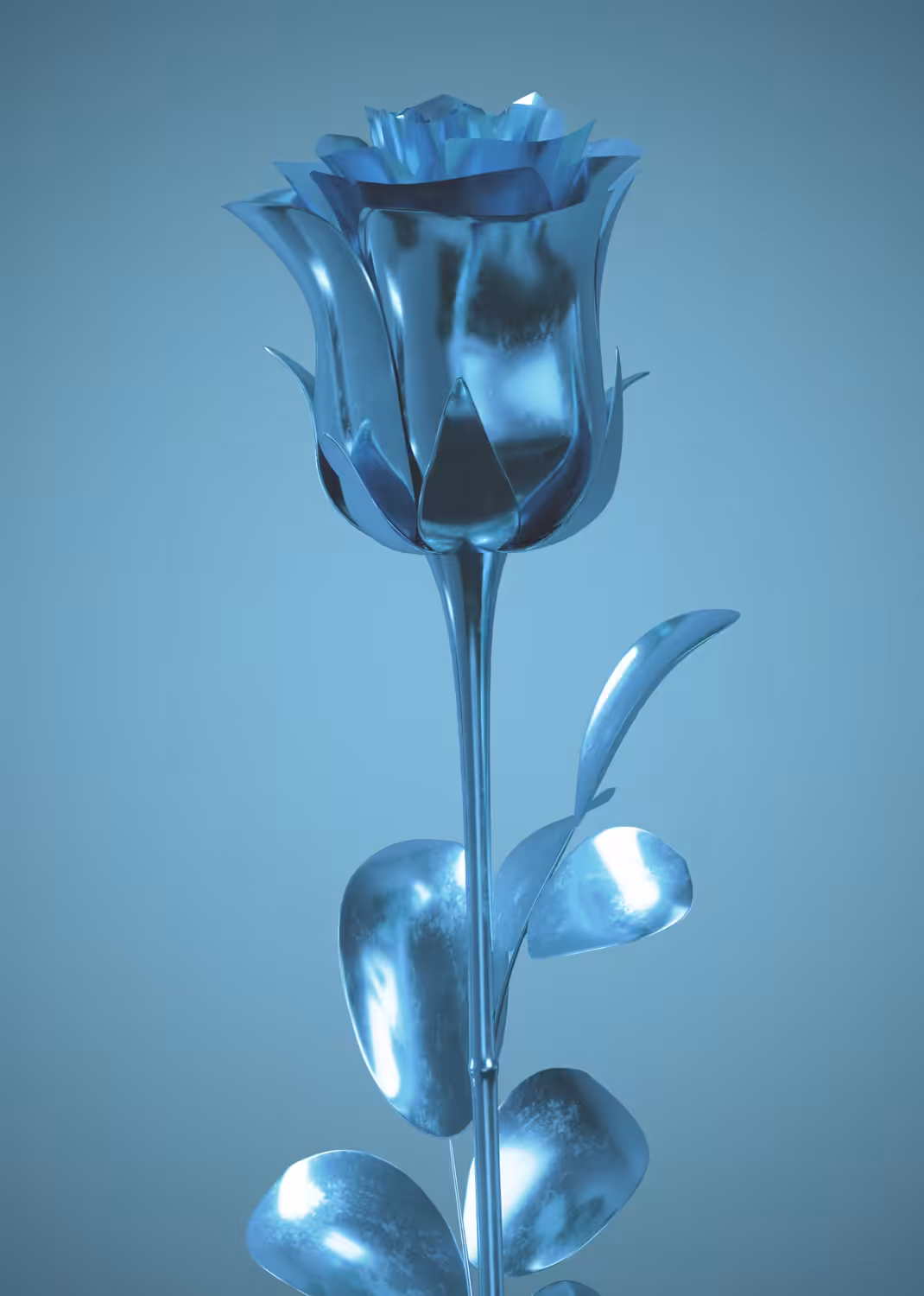 Rose #7: Blue Steel
