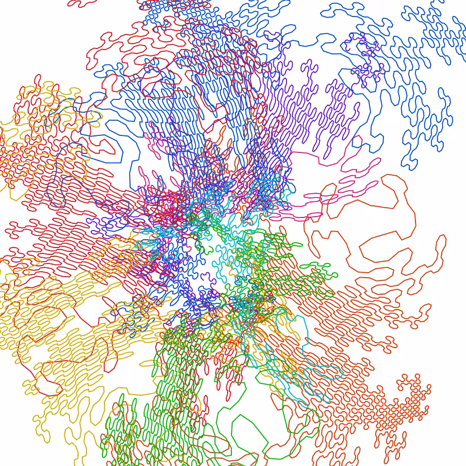 Dragon Curve Vortex #24