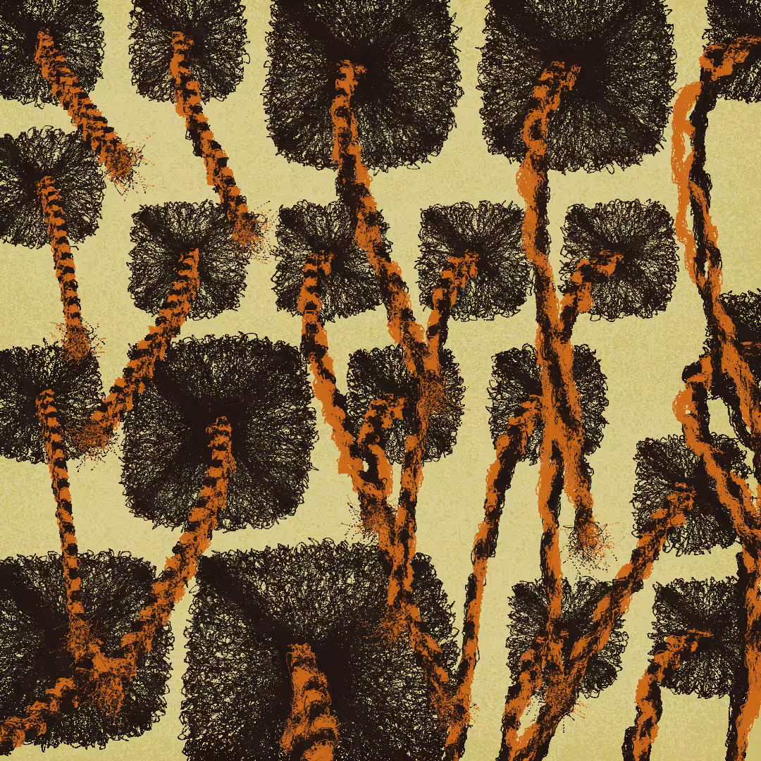 Beauty Supply Is Out of Du-Rags: A Personal Synthesis of Protection and Timeless Style #187