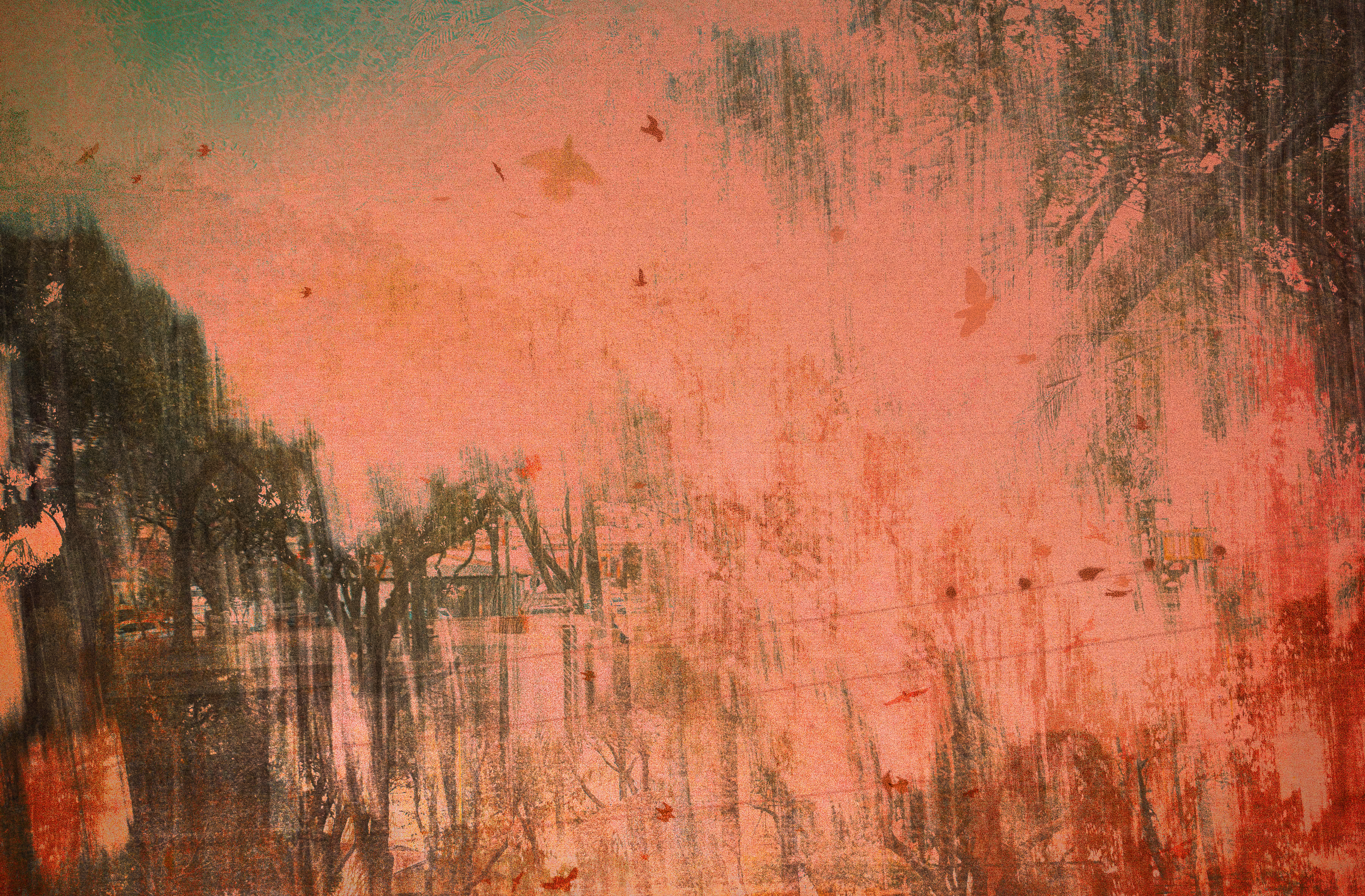 Ephemeral #011 | Just a walk