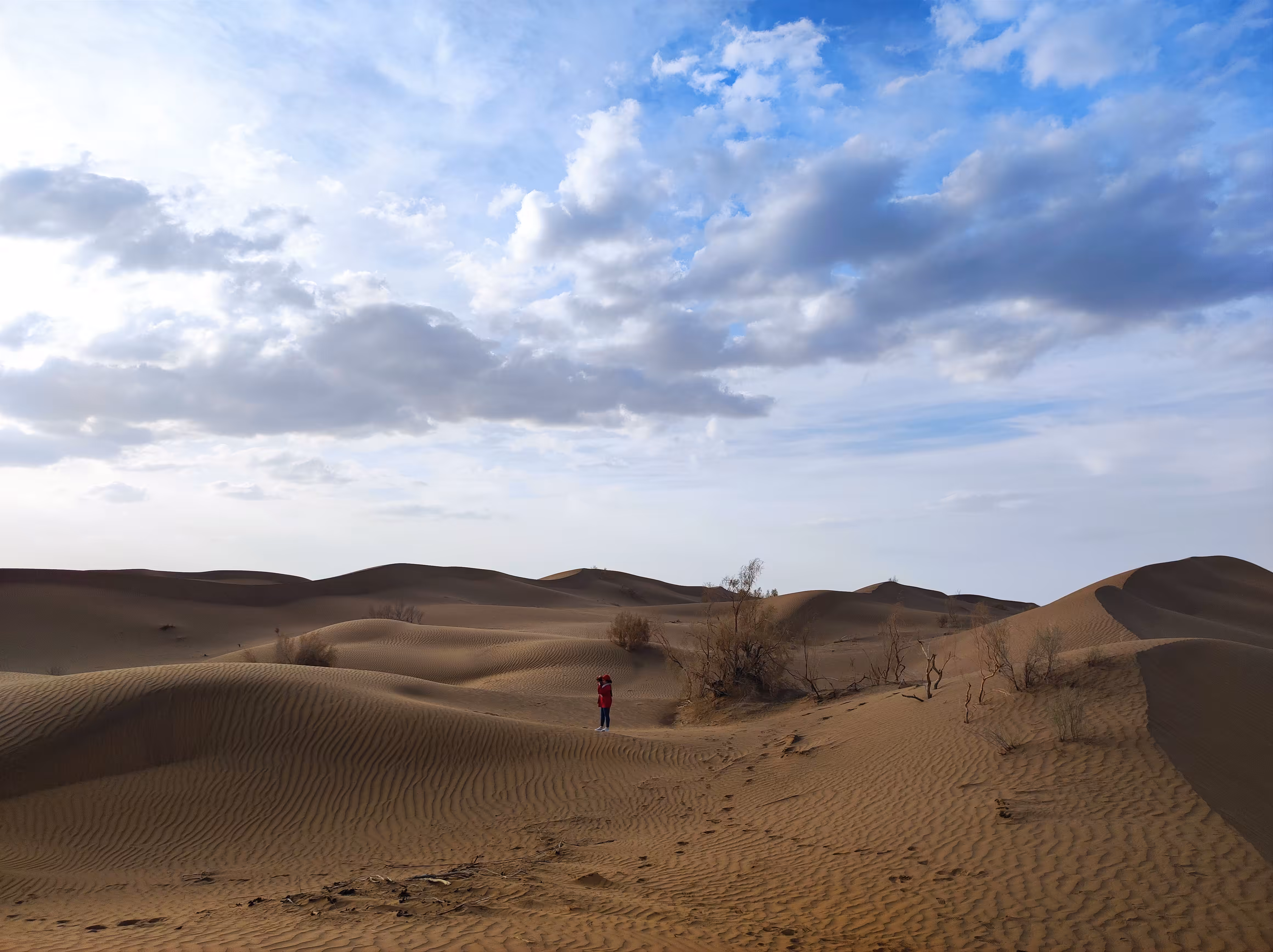 Mesr desert