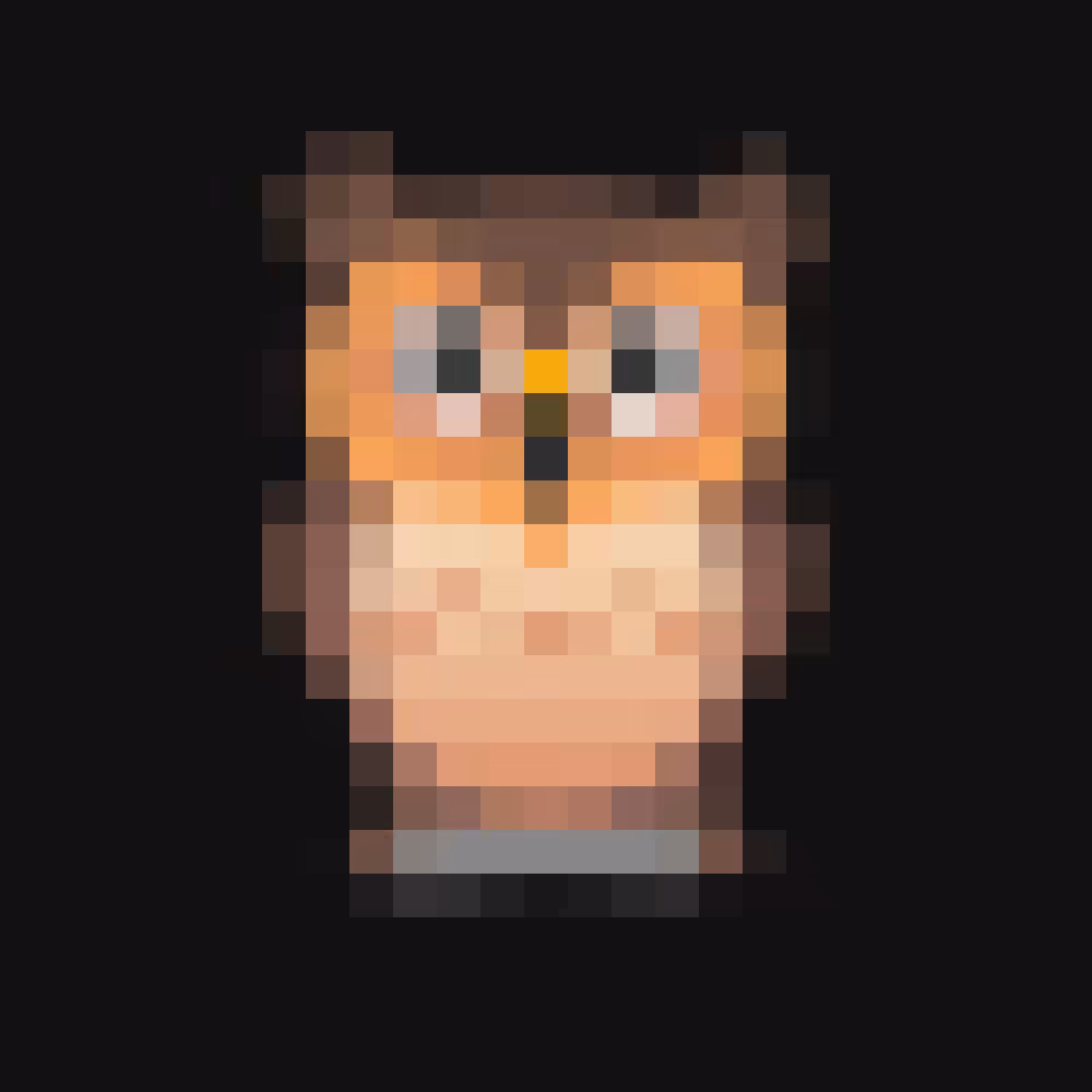 🦉