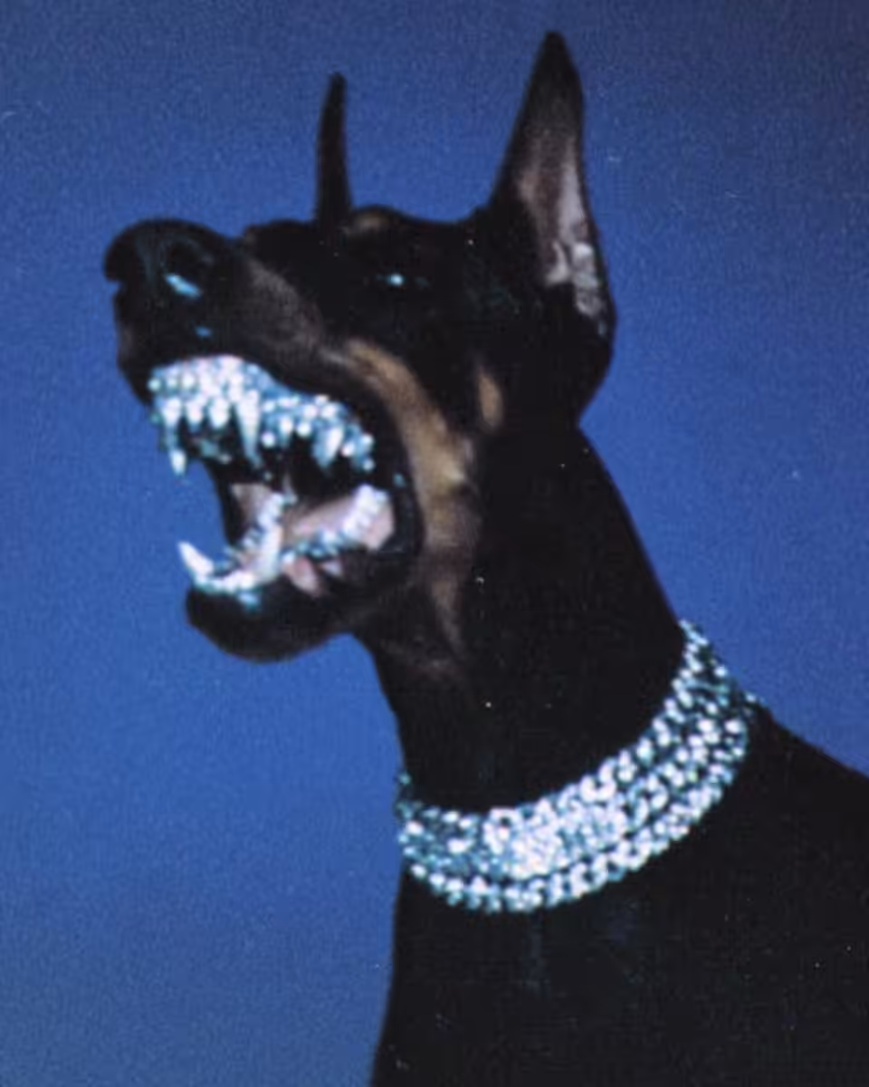GRILLZ