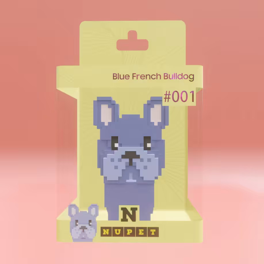 Blue French Bulldog